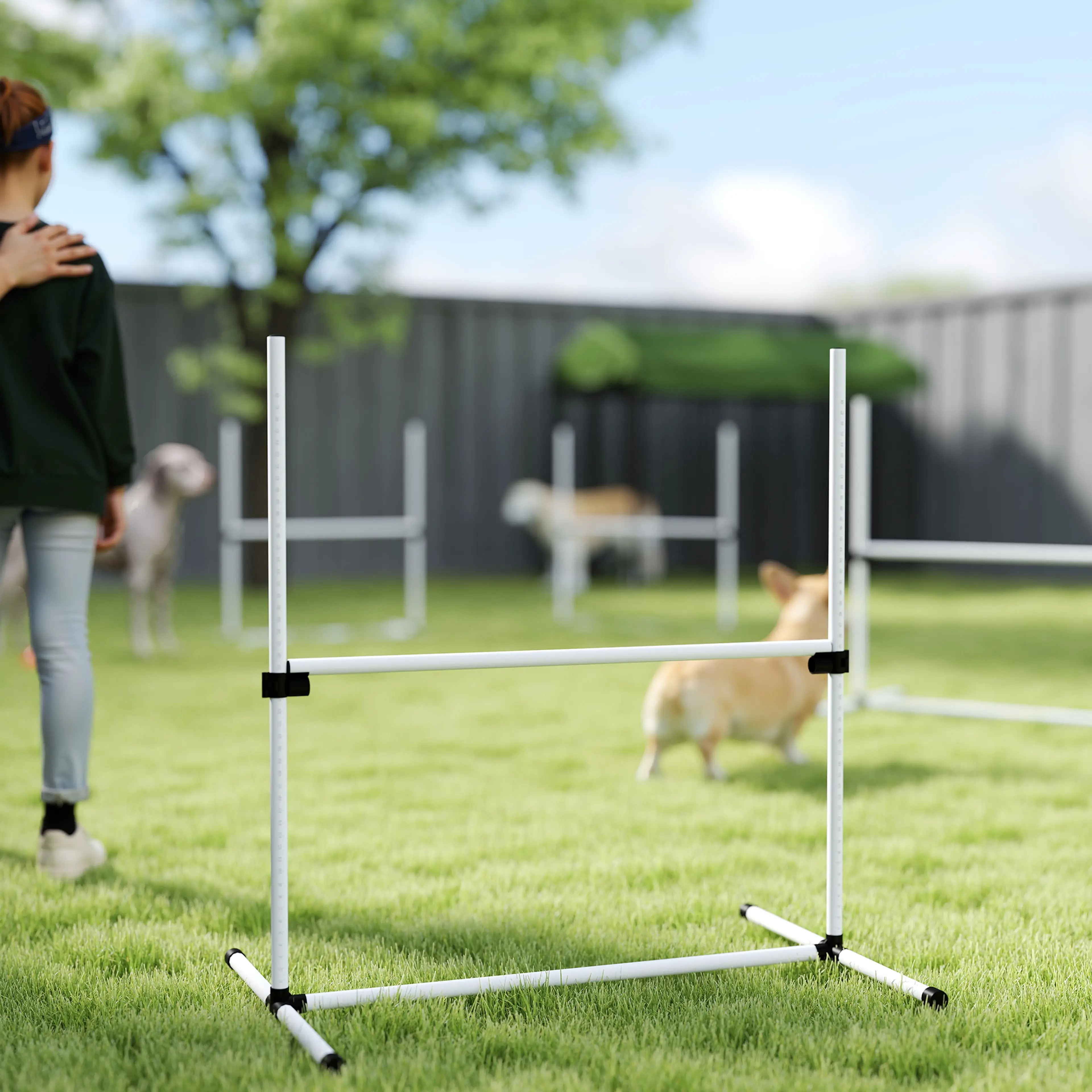 Hopphinder för hund på gräsmattan medan höjden ställs om och en liten hund väntar bredvid