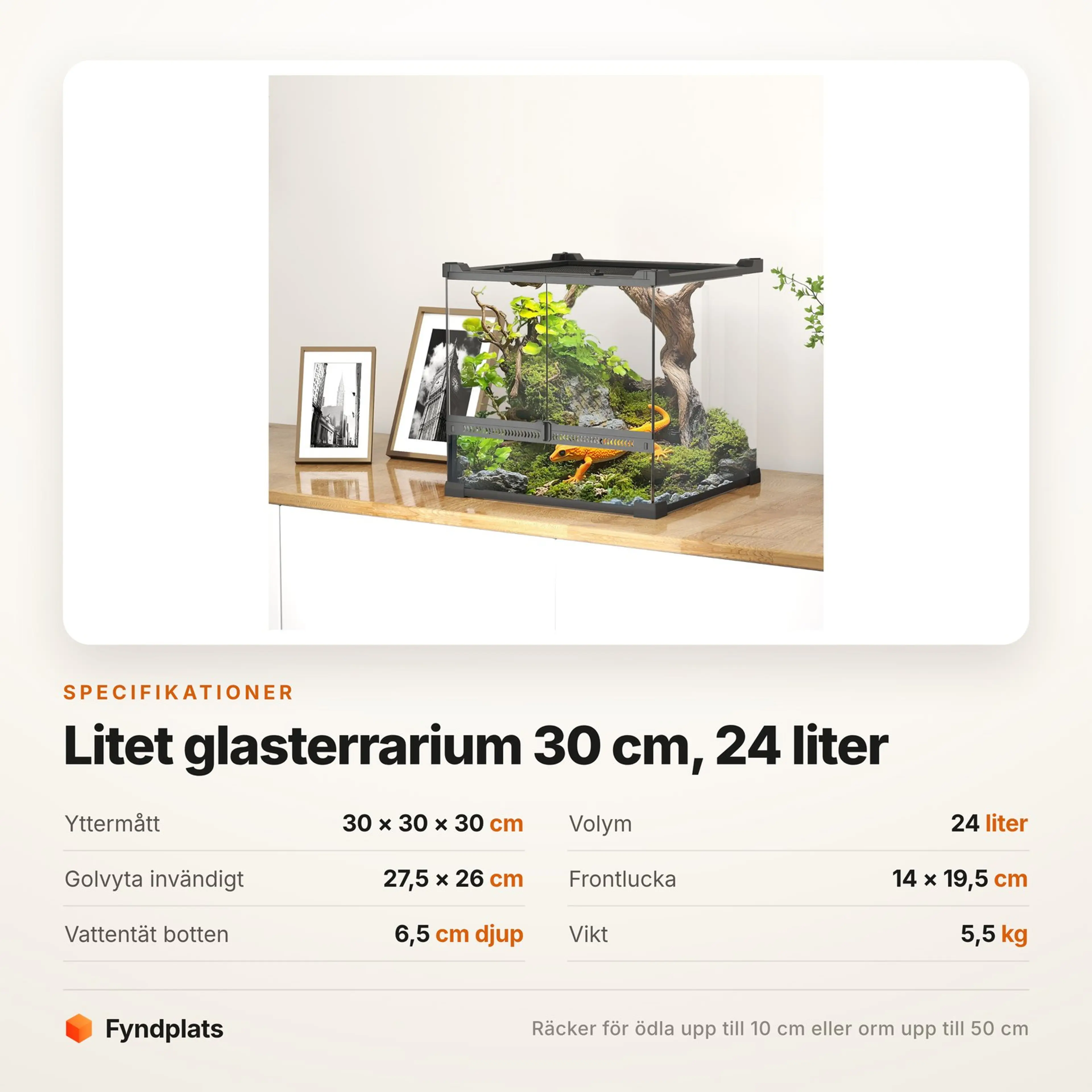 Litet glasterrarium 30 × 30 × 30 cm, 24 liter – bild 4