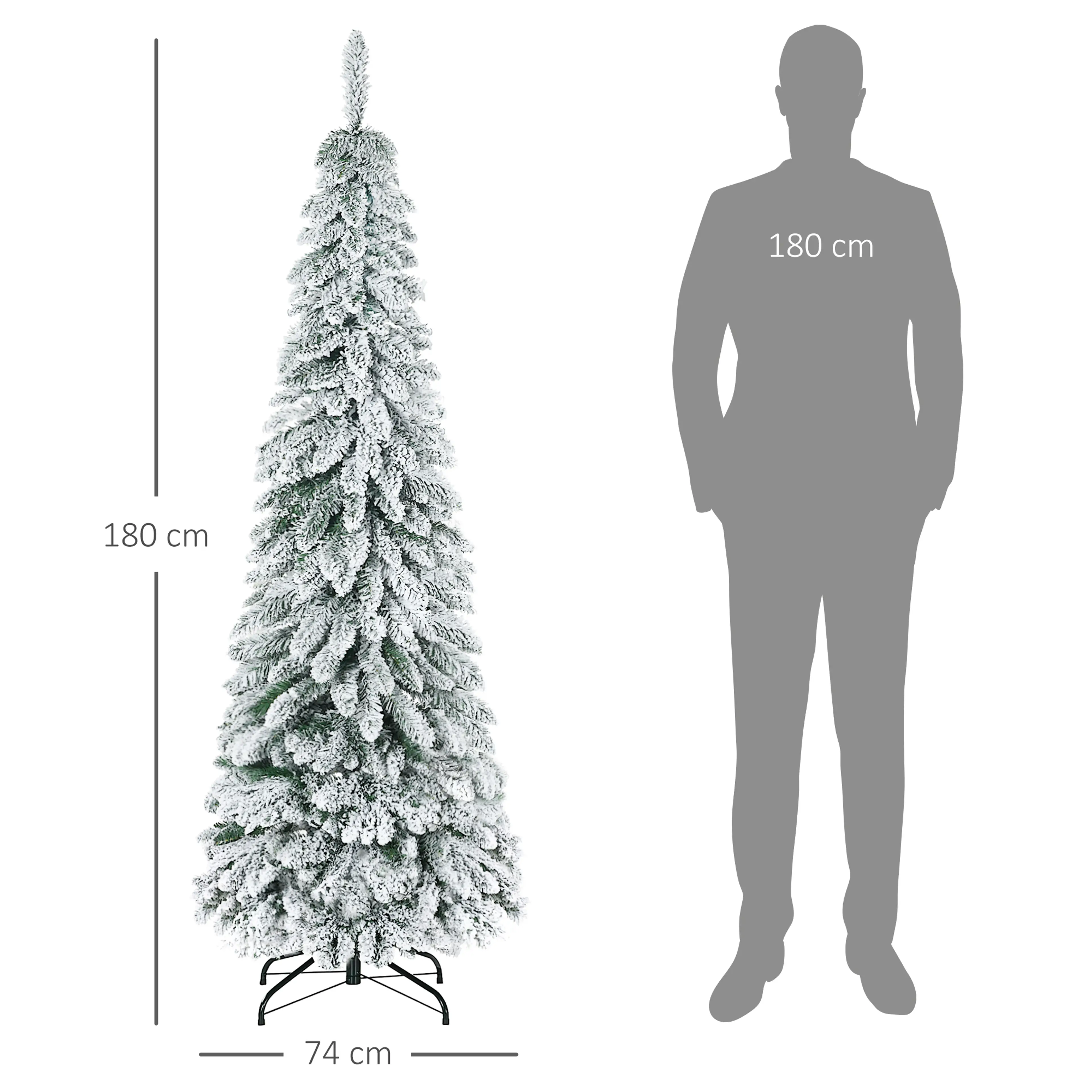 Storleksjämförelse: granen 180 cm hög och 74 cm bred bredvid en person