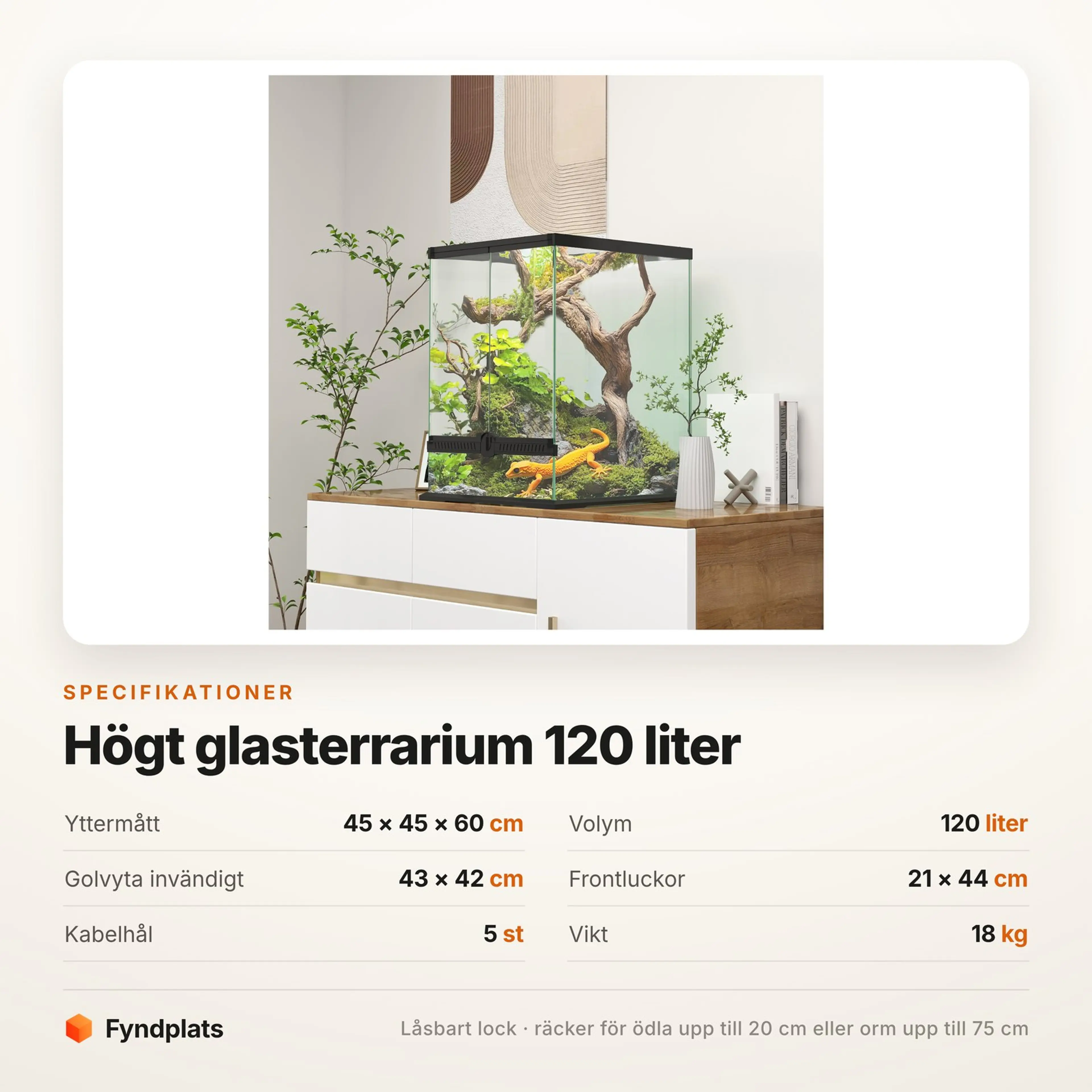 Högt glasterrarium 45 × 45 × 60 cm, 120 liter med lås – bild 4