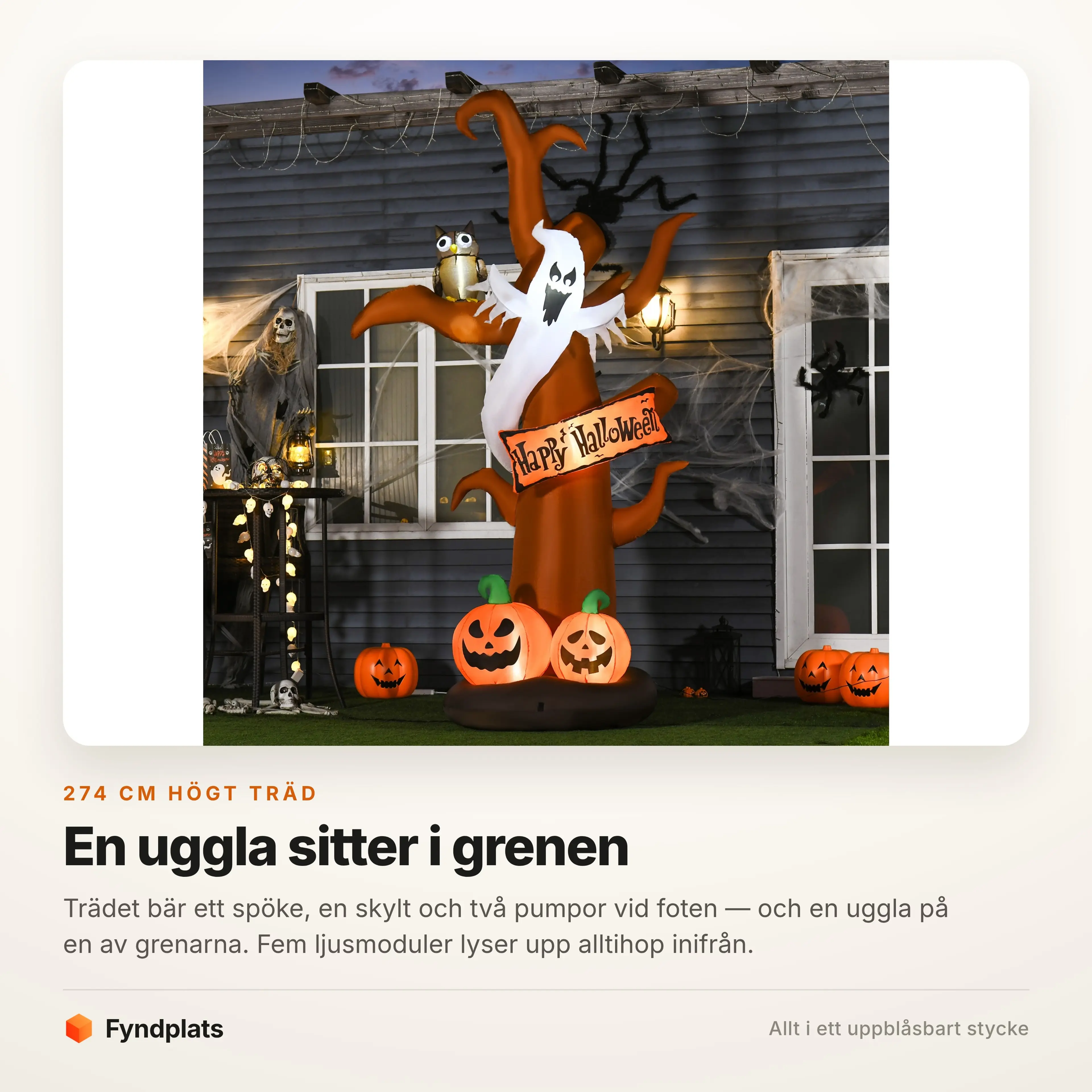 Trädet står tänt bland pumpor vid entrén