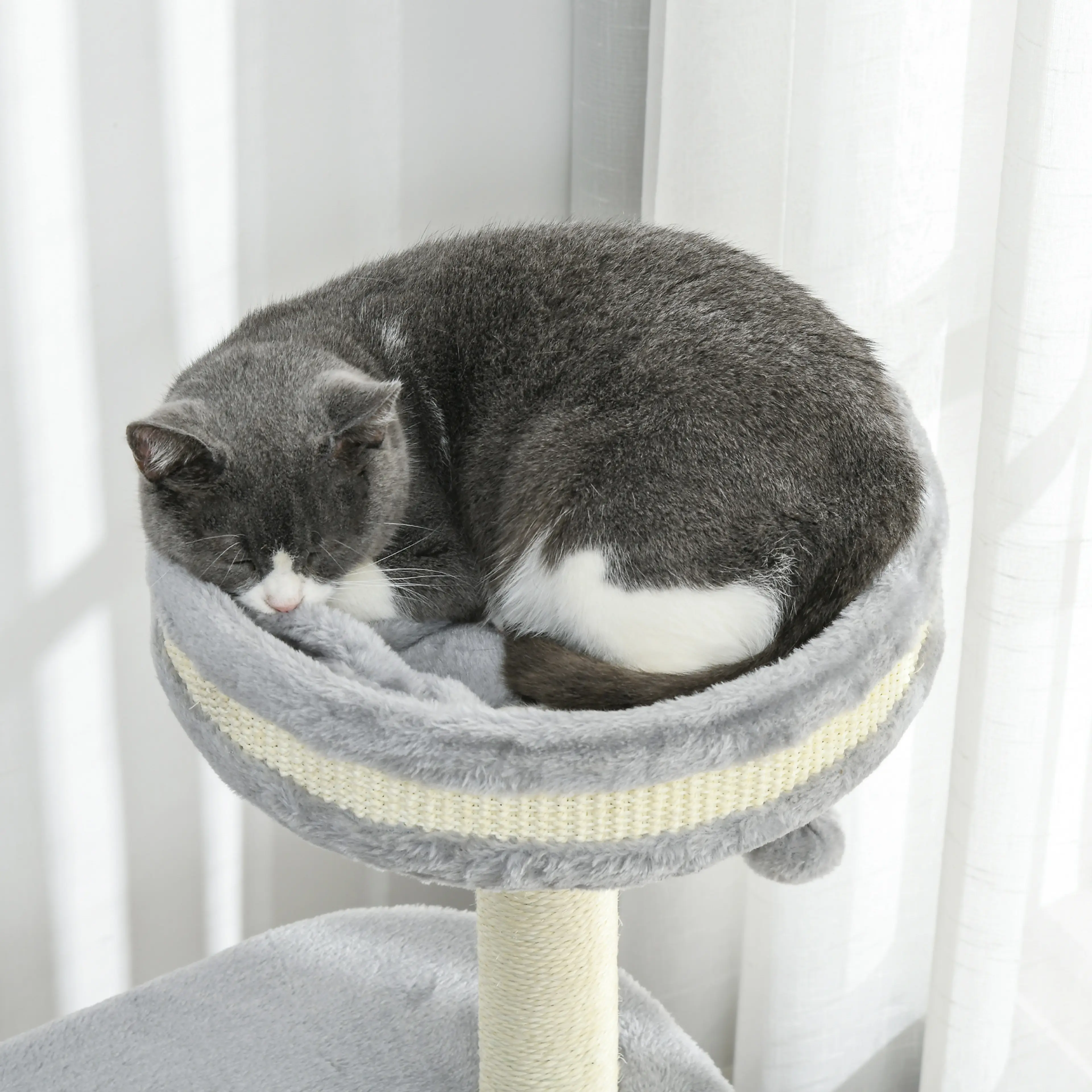 Katt som ligger hoprullad i den runda bädden överst