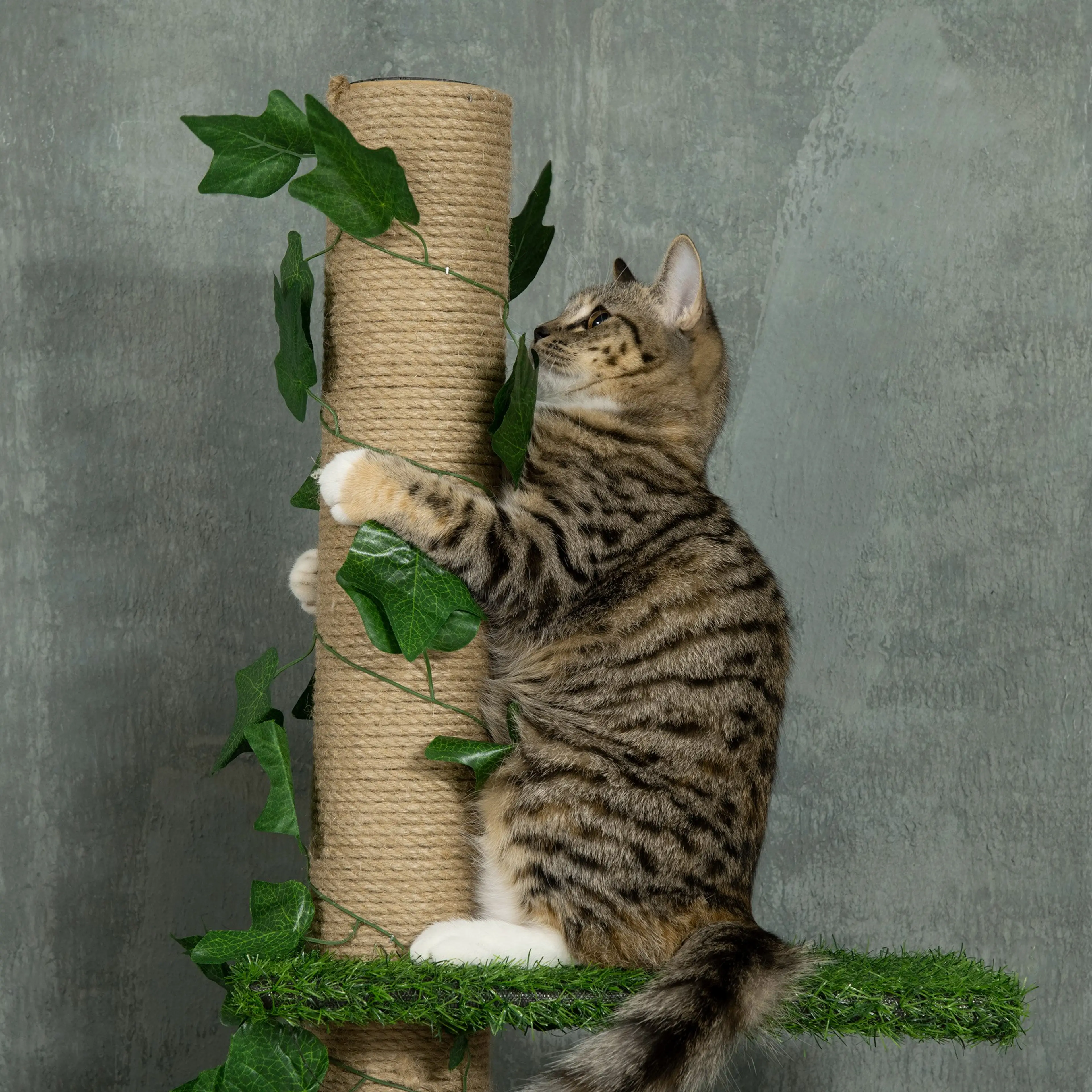 Katt som klättrar på den jutelindade stolpen mellan konstgjorda blad