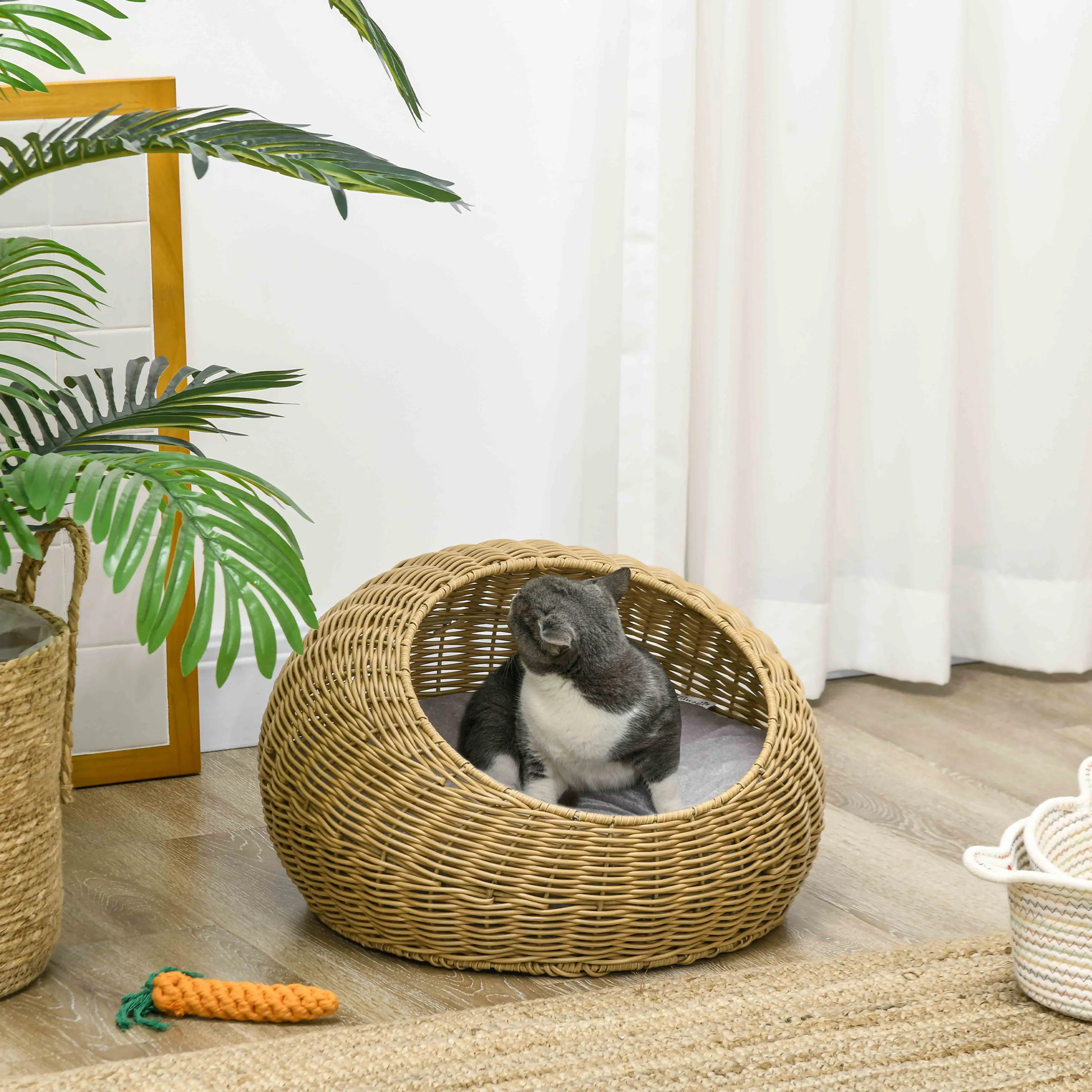 Kattigloon i ett rum med krukväxt och katt som vilar inne i kupolen