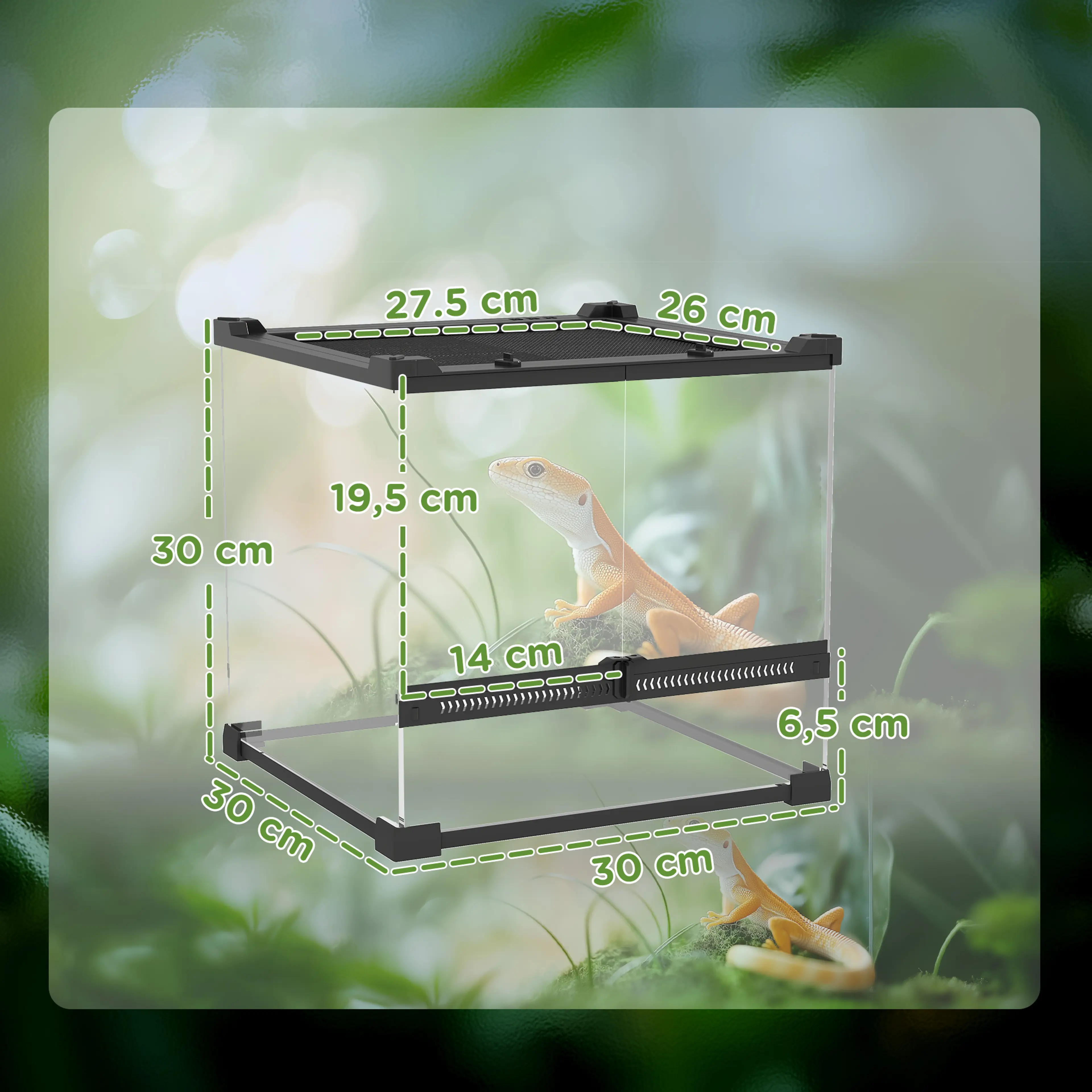 Litet glasterrarium 30 × 30 × 30 cm, 24 liter – bild 5