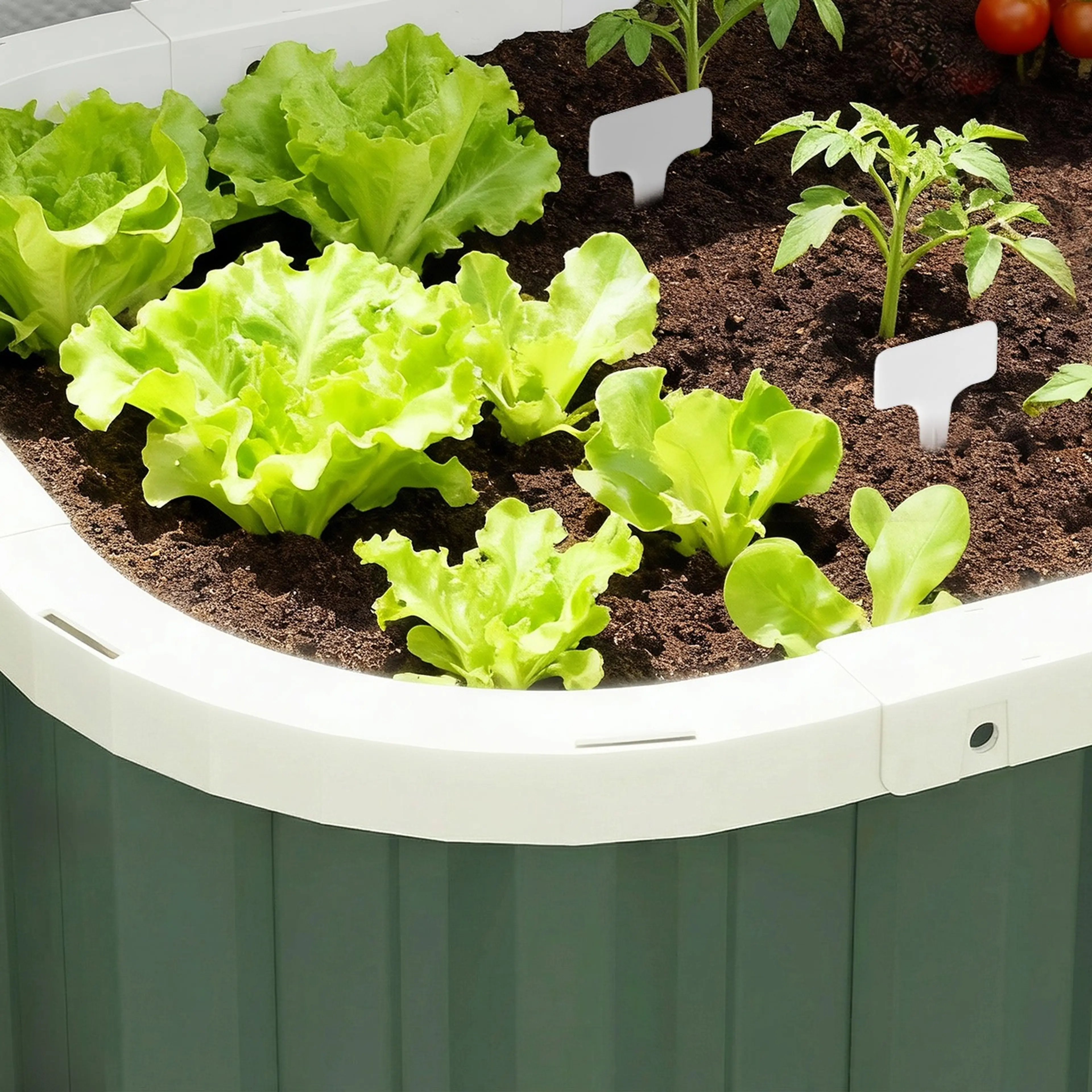 Sallat och tomatplantor i lådan, märkta med de medföljande växtetiketterna