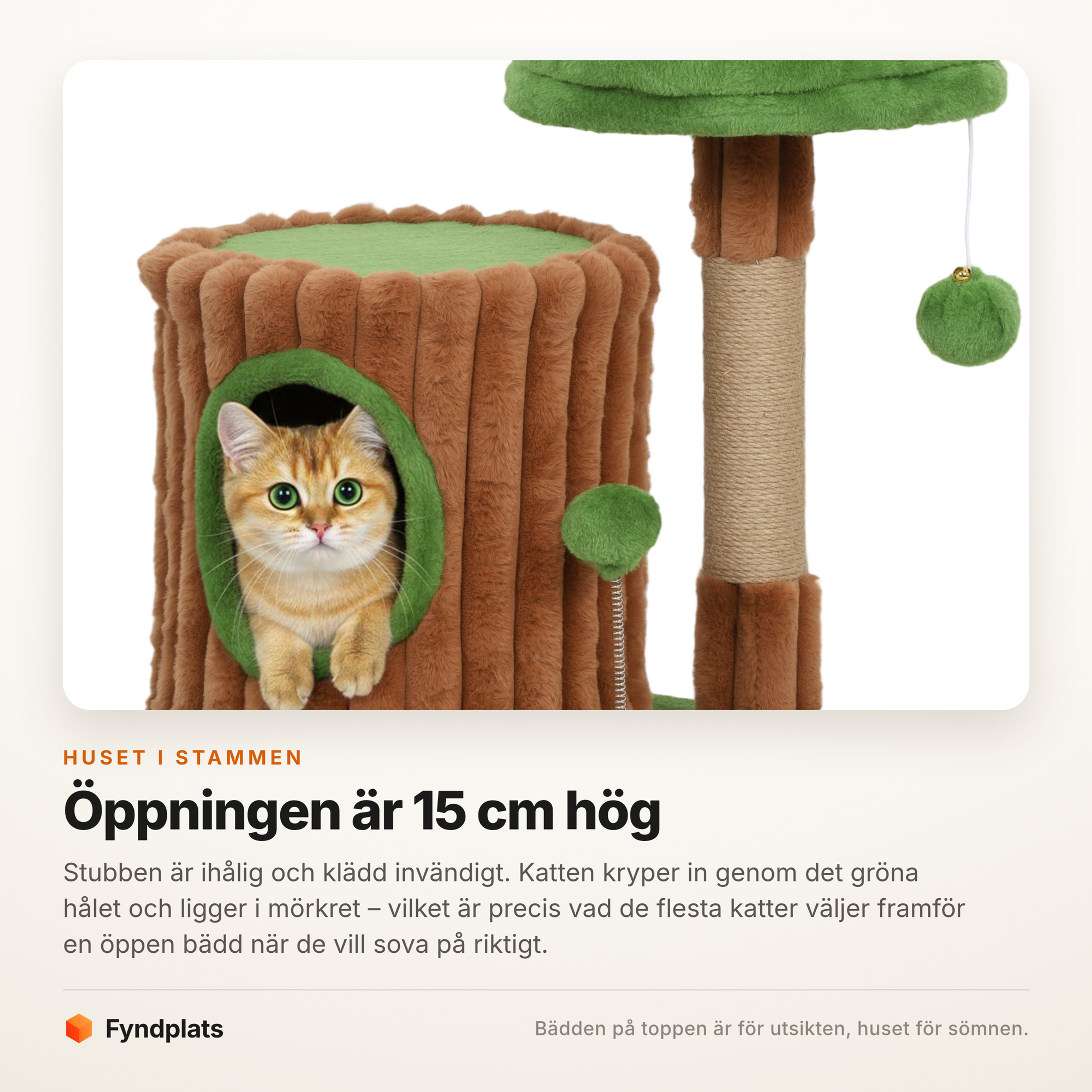 Närbild på hålan i stubben med 15 cm hög öppning