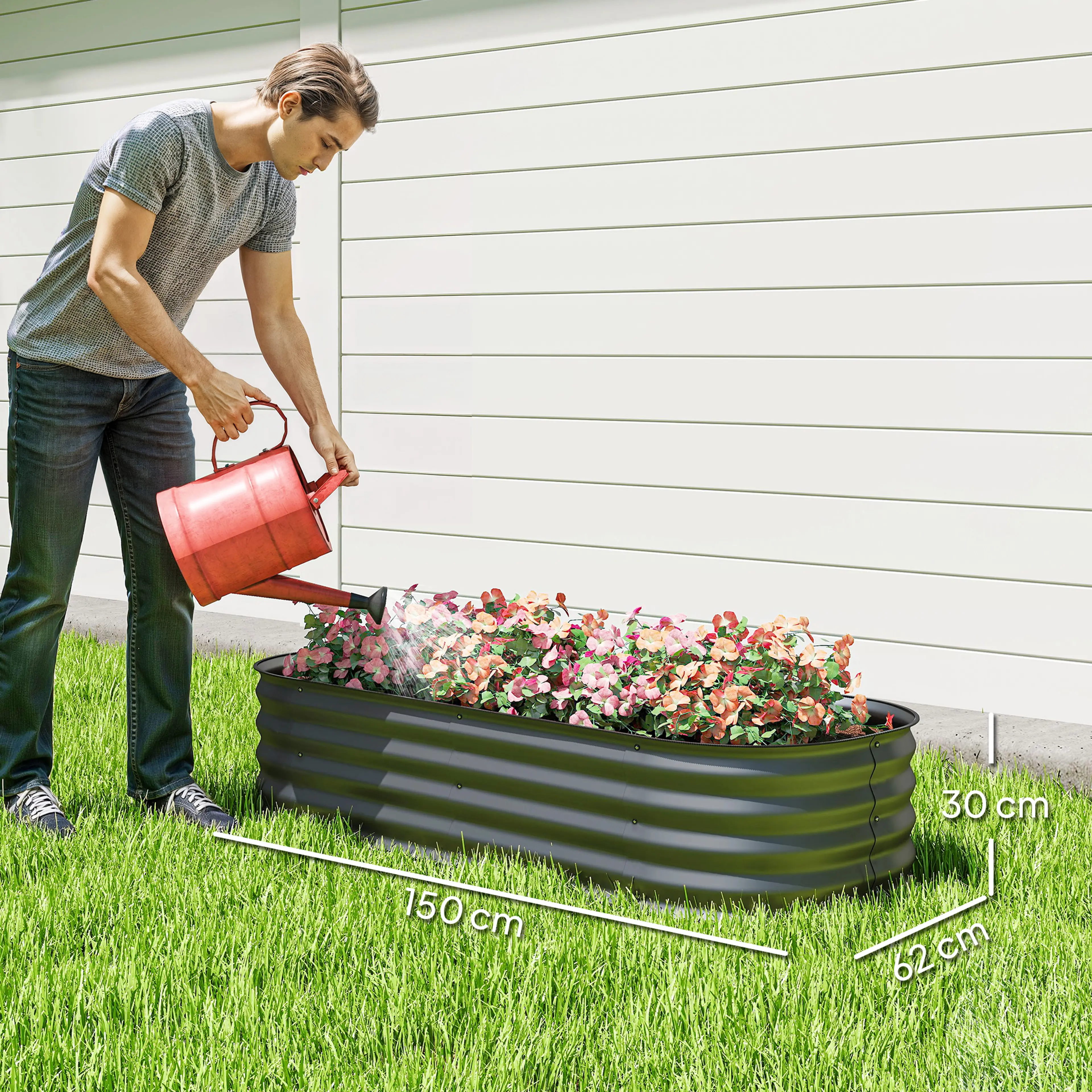 En man som vattnar blommor i den ovala odlingslådan på en gräsmatta, med måtten 150, 62 och 30 cm utsatta på bilden