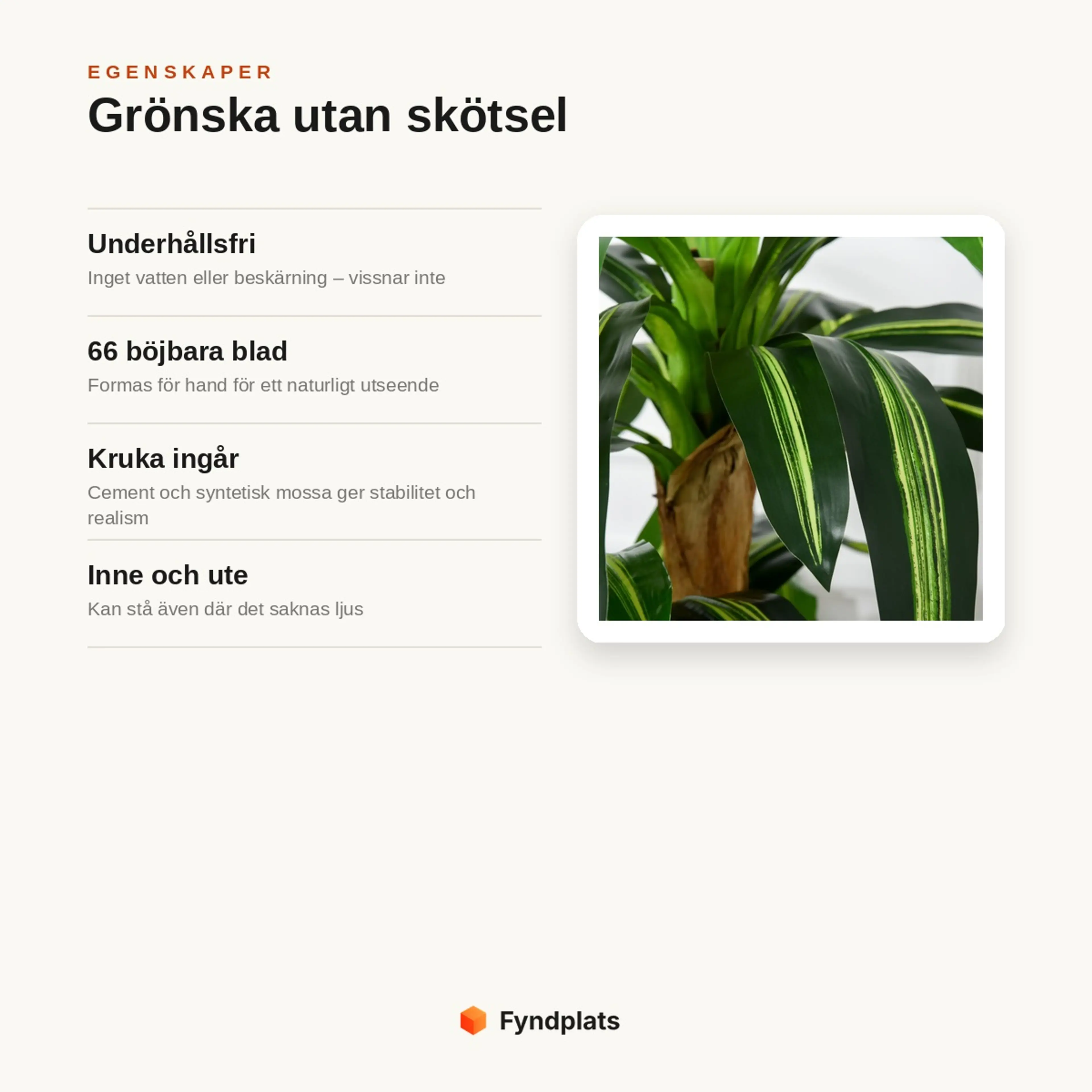 Egenskaper: underhållsfri utan vatten, 66 böjbara blad, kruka med cement ingår och kan stå inne och ute