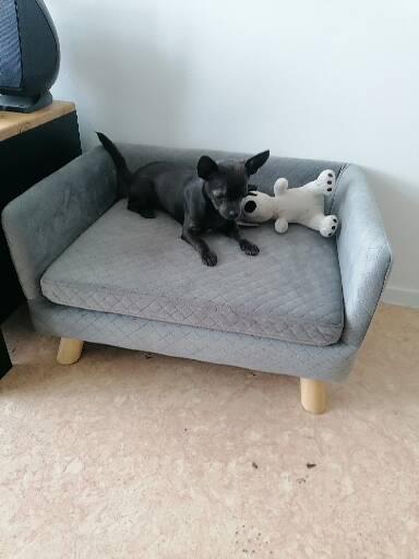 Kundbild från W.X.