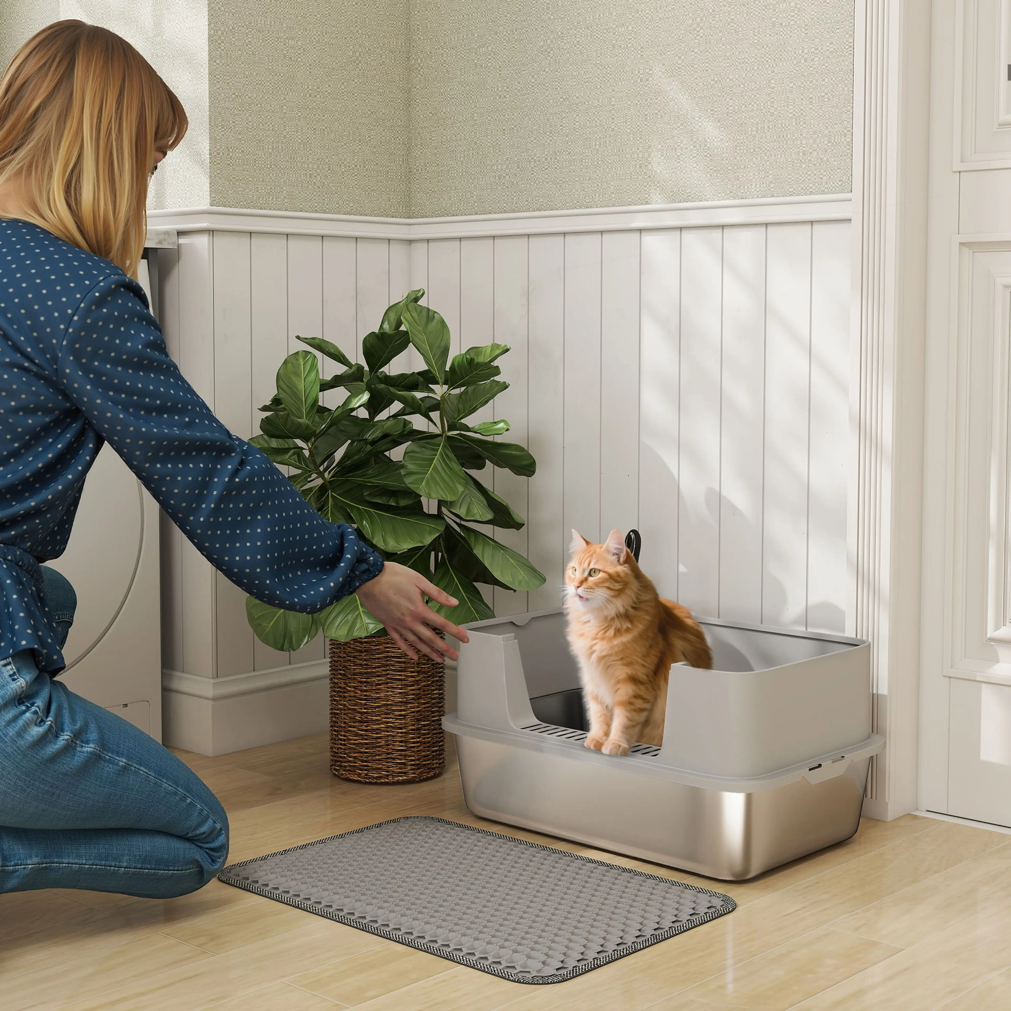 Kattlådan sedd snett uppifrån med den låga ingångskanten