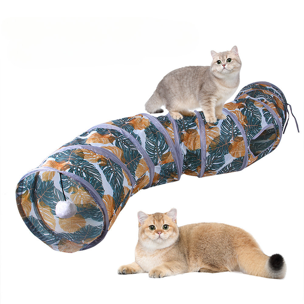 Katt utforskar tunneln