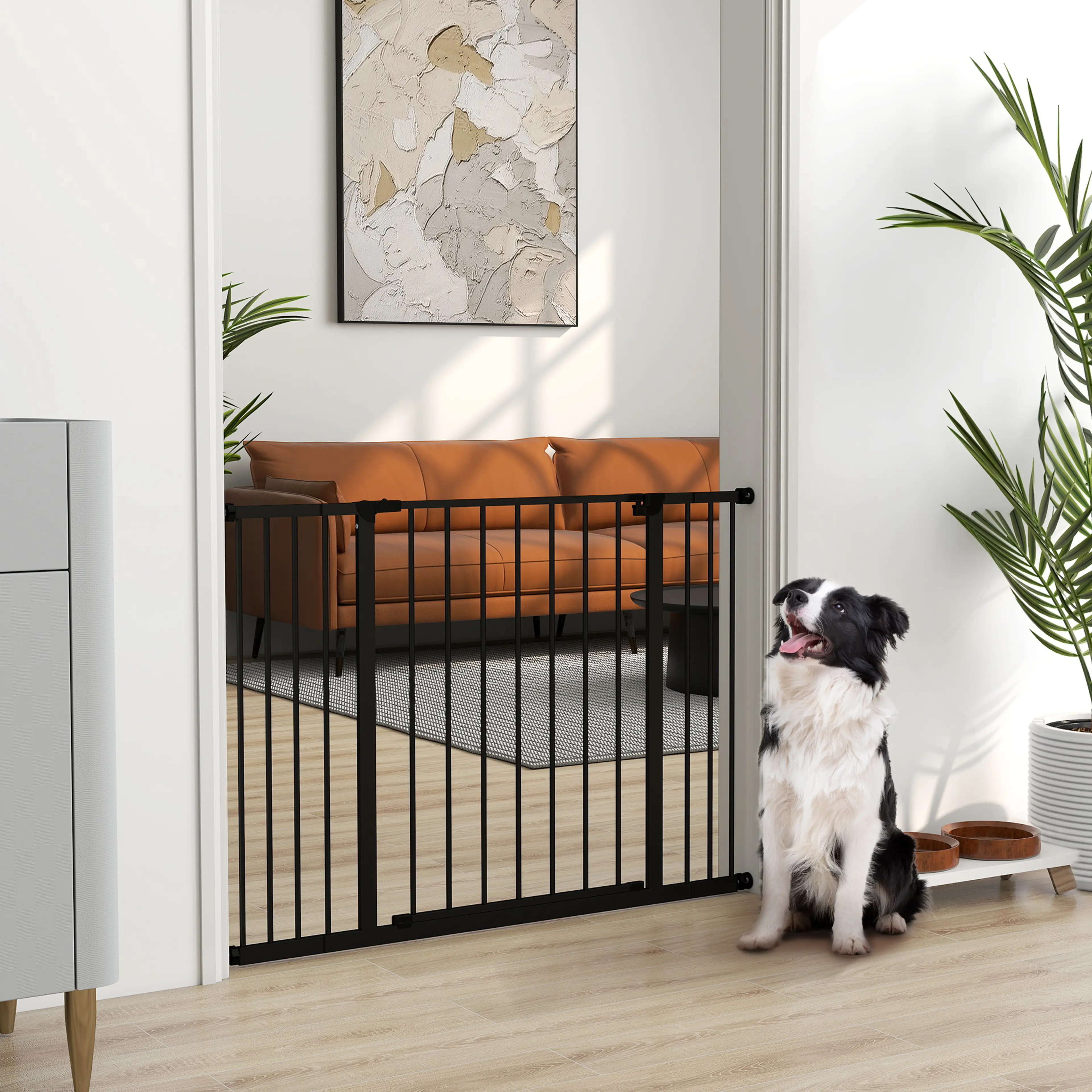Grinden i en dörröppning mot vardagsrummet, med en border collie som sitter bredvid