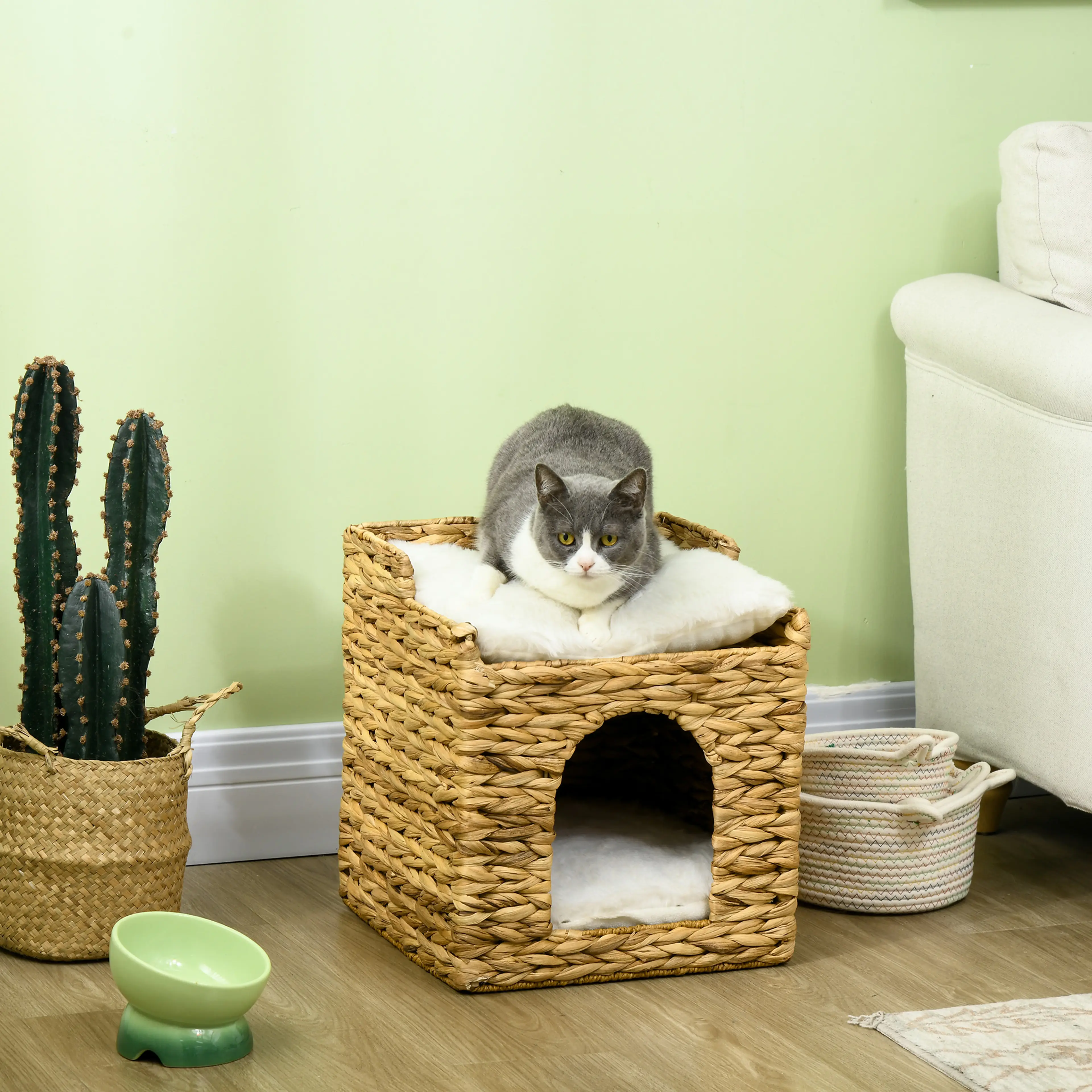 Kattkojan står på ett golv i ett grönt rum med en katt som ligger på taket