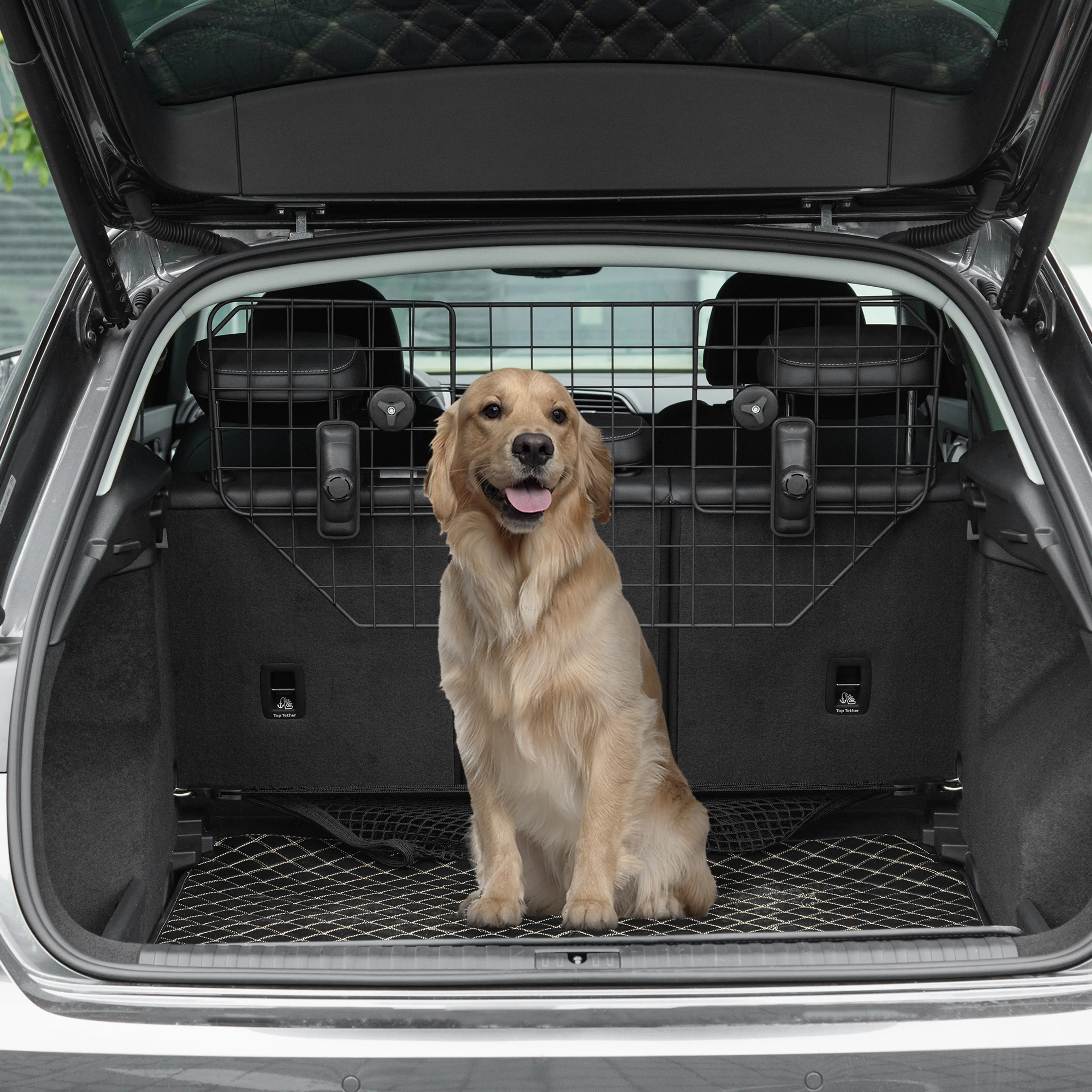 Golden retriever sitter i bagageutrymmet bakom hundgallret
