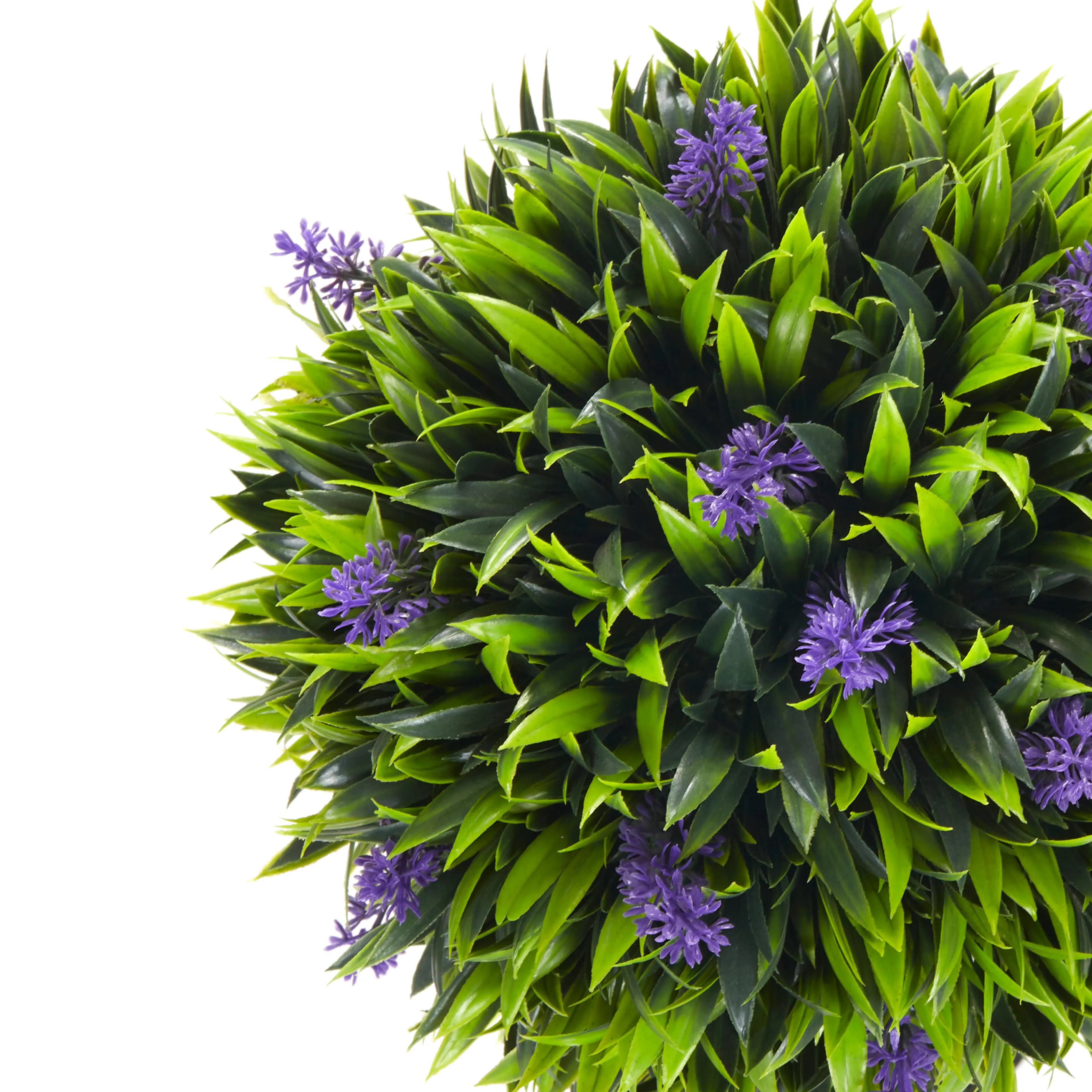 Närbild på kronan med gröna blad och lila lavendelblommor