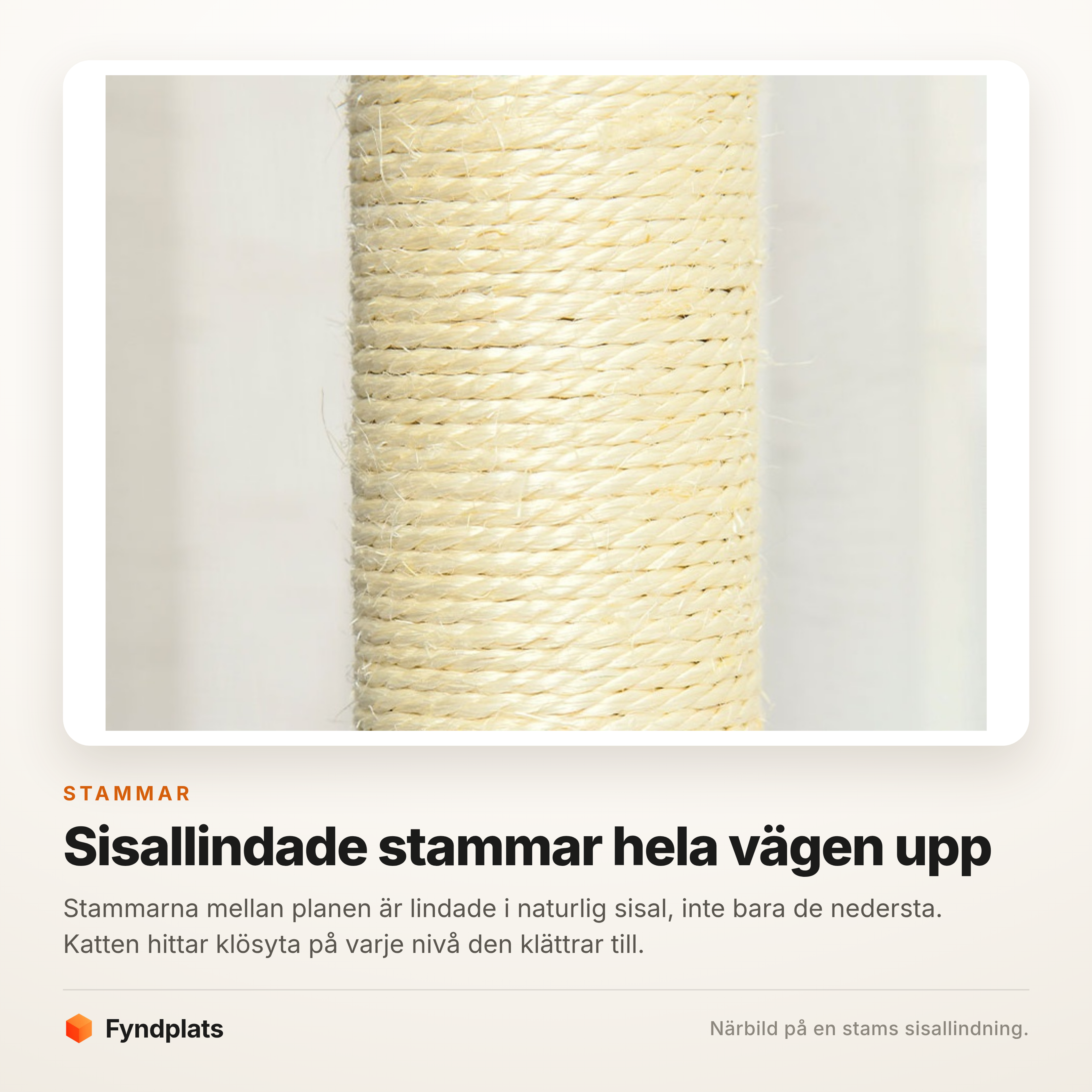 Närbild på en stams sisallindning