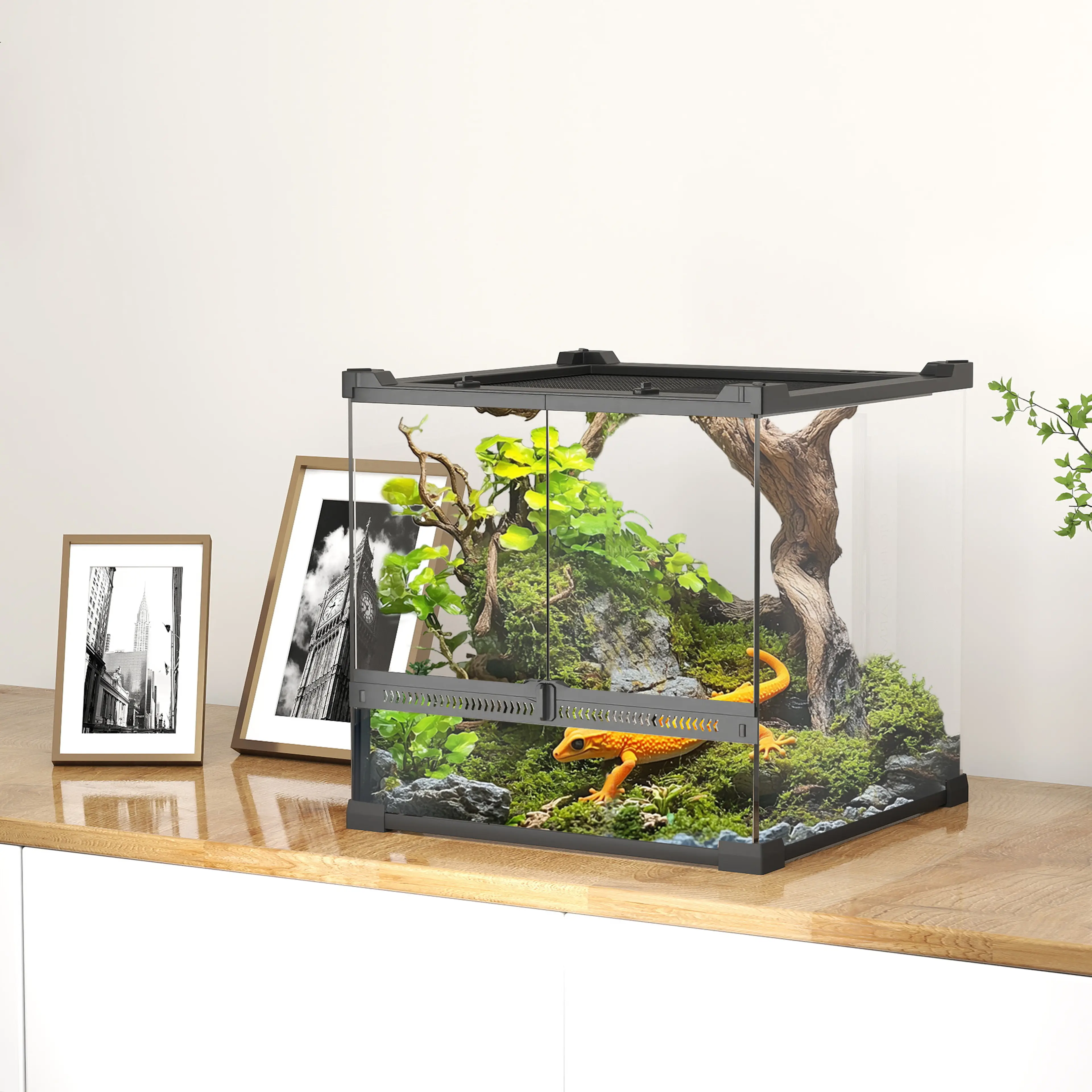 Litet glasterrarium 30 × 30 × 30 cm, 24 liter – bild 2