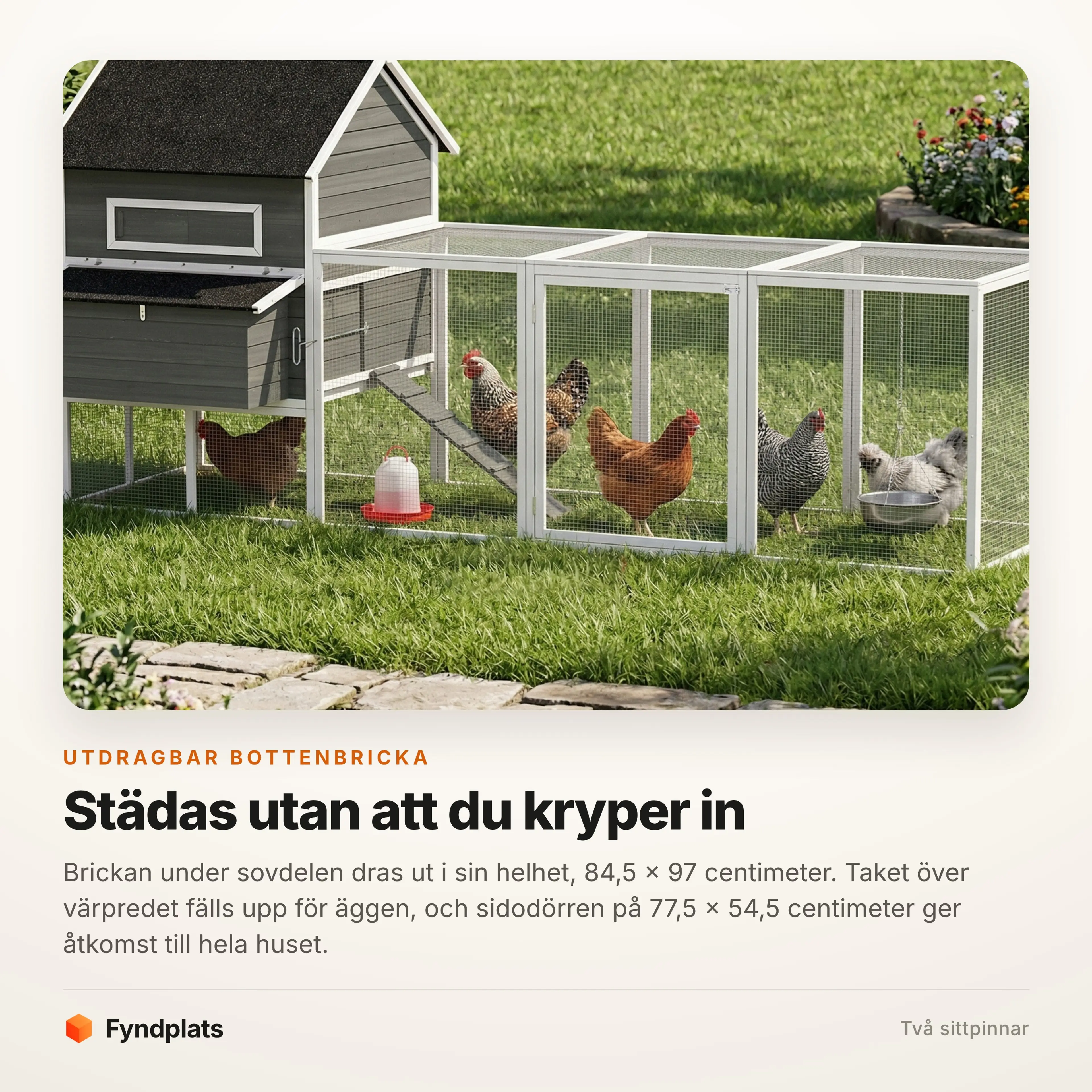 Hönsen i rasthagen med vattenautomat och foderskål