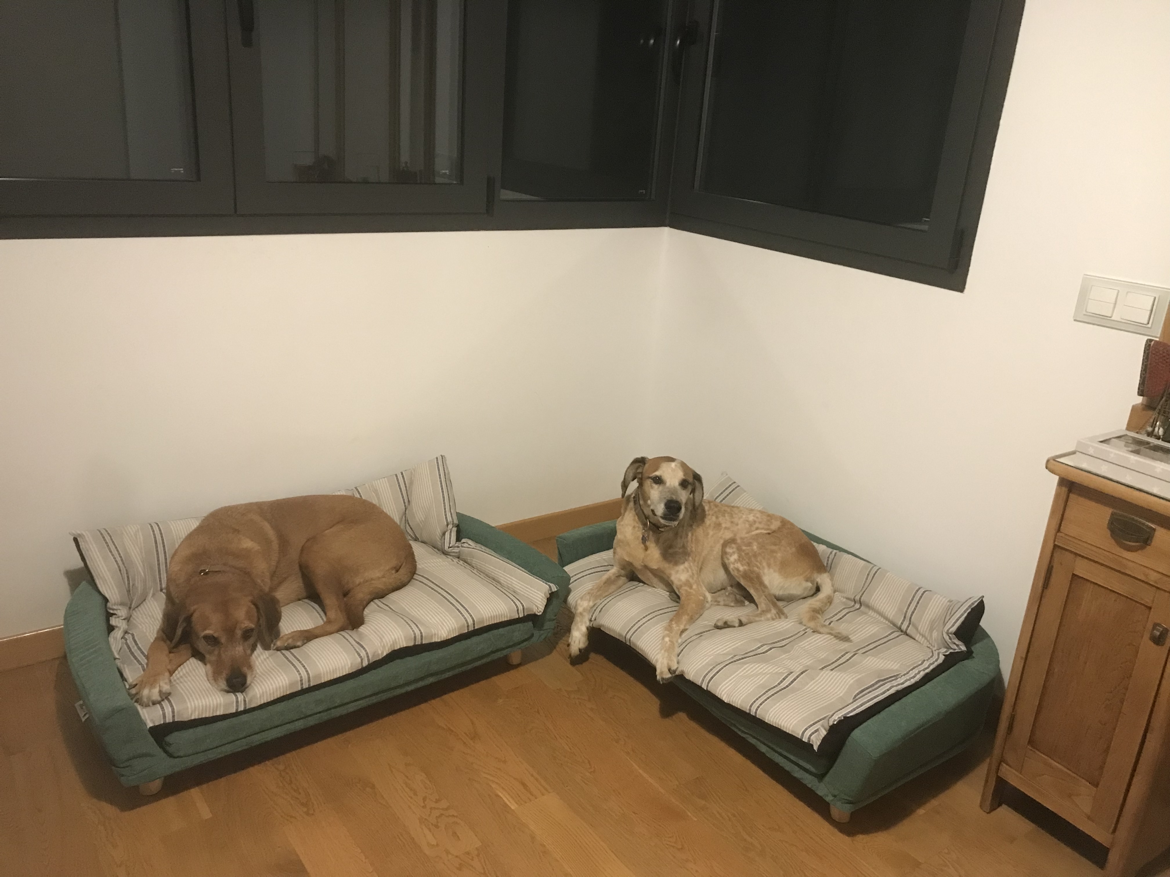 Kundbild från C.D.