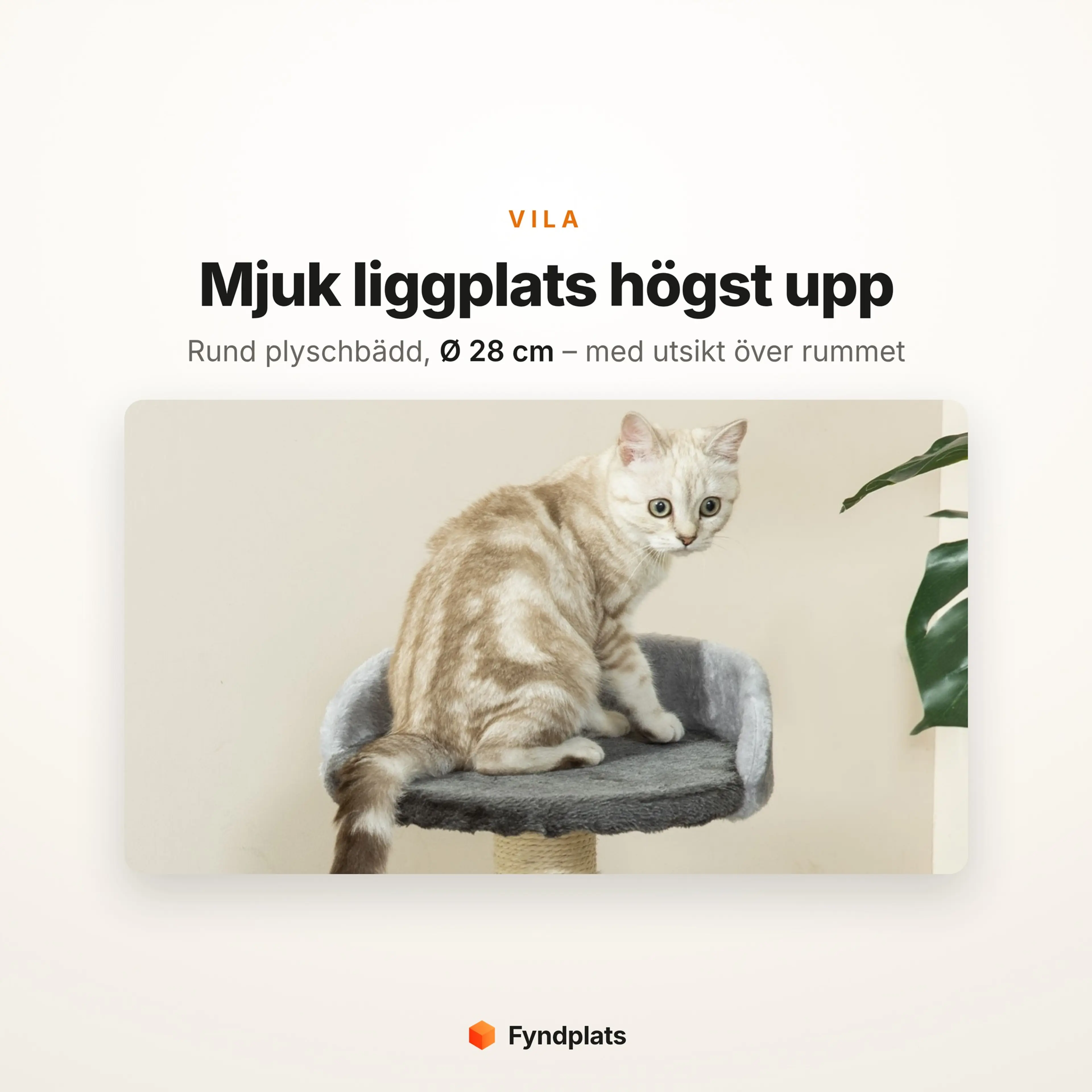 Katt som vilar på klösträdets mjuka plyschbädd, Ø 28 cm, högst upp på sisalpelaren