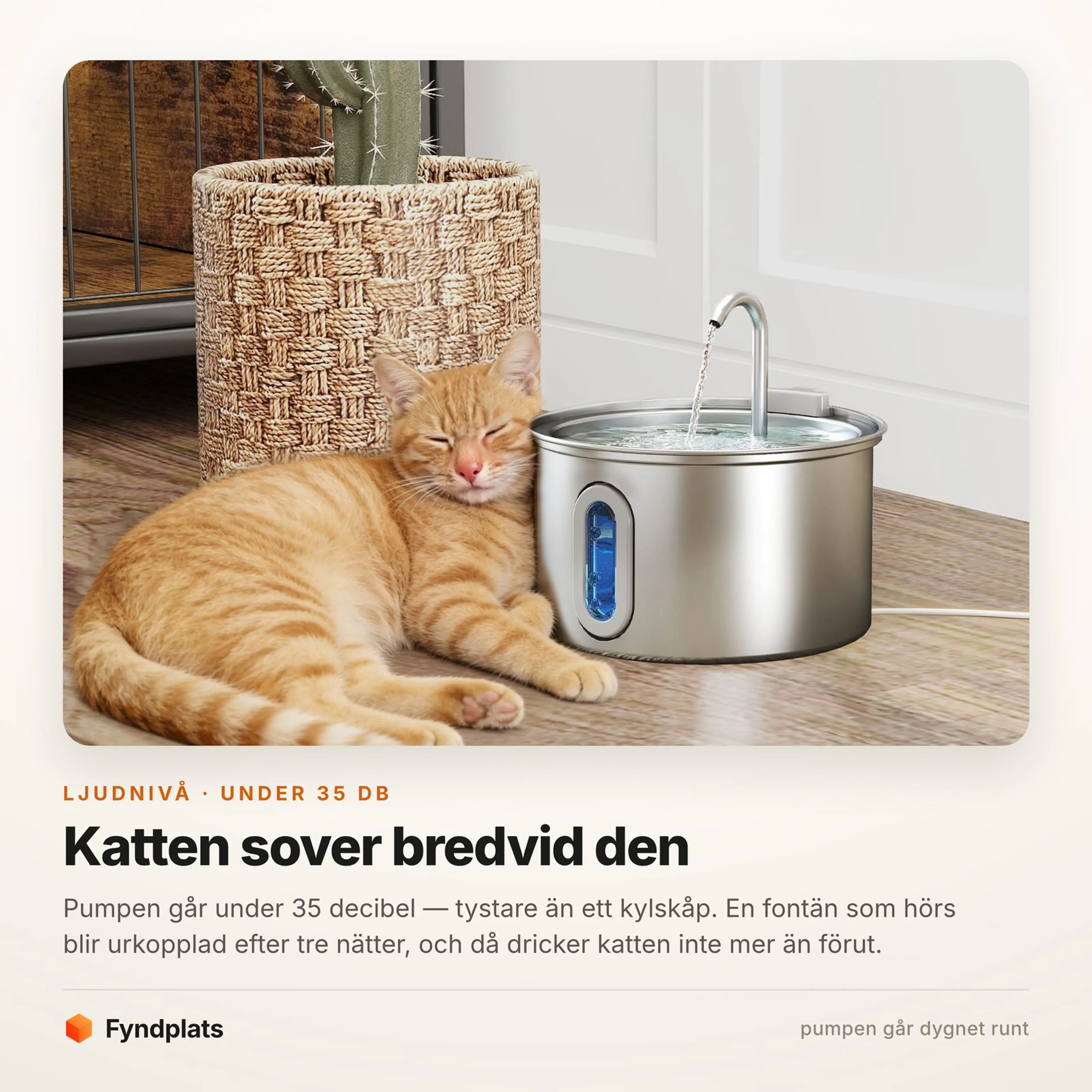 Faktakort: katt som sover bredvid fontänen