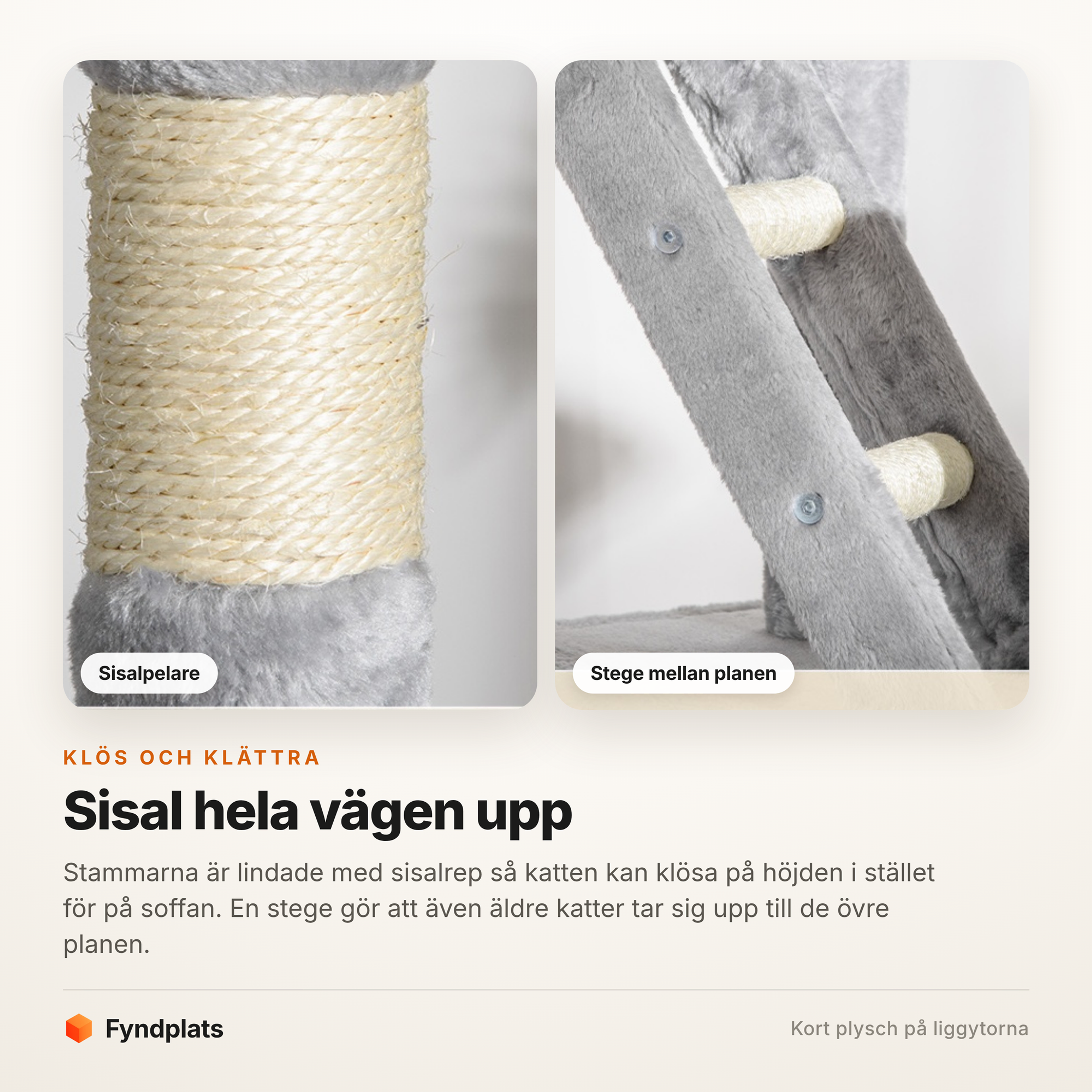 Sisallindade stammar och stegen mellan planen