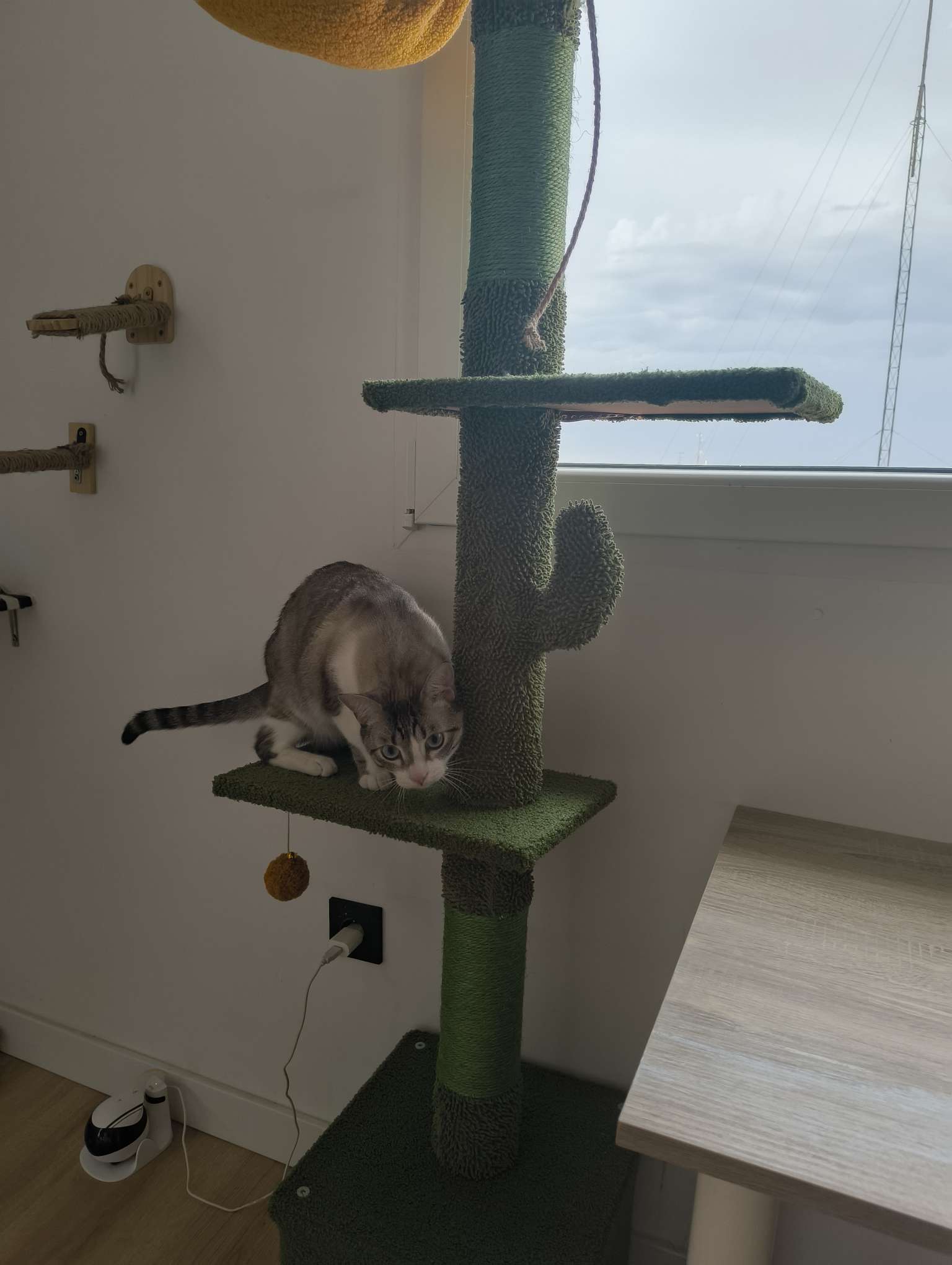 Kundbild från C.D.