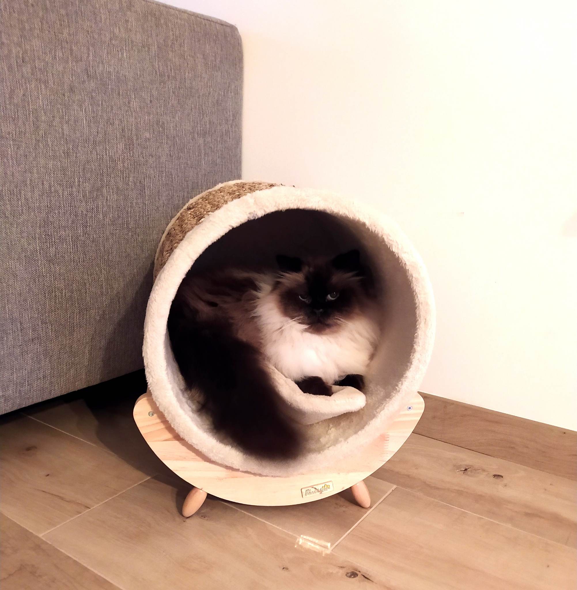 Kundbild från W.X.