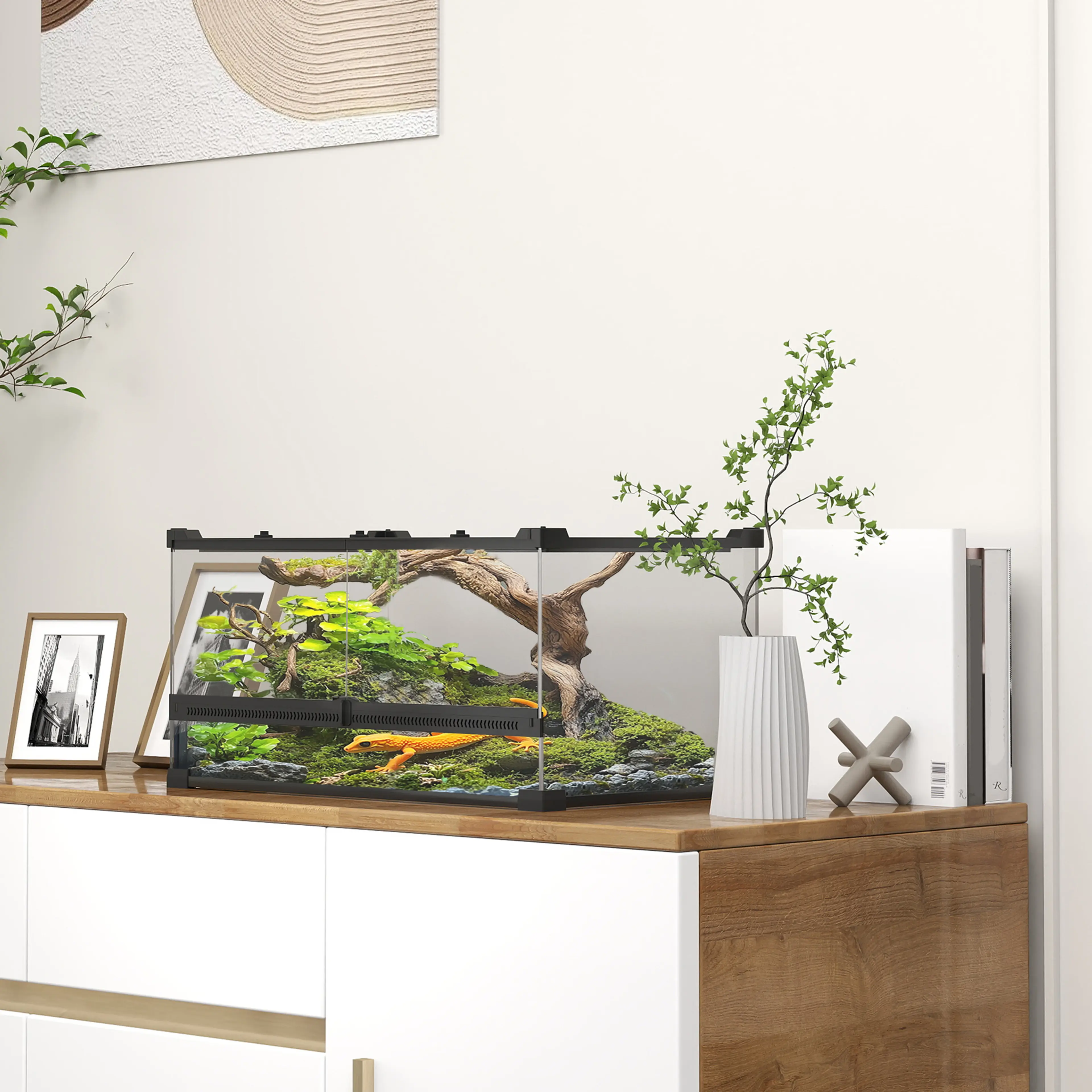 Lågt glasterrarium 50 × 30 × 25 cm, 34 liter – bild 2