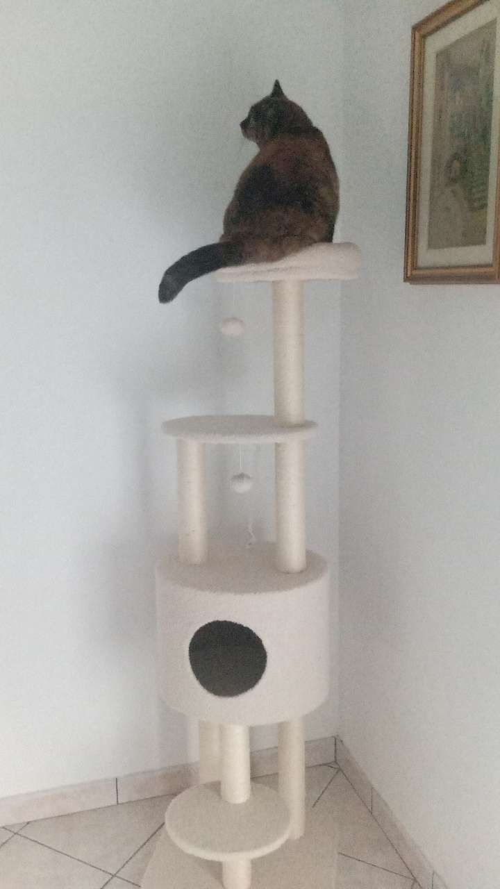 Kundbild från T.U.