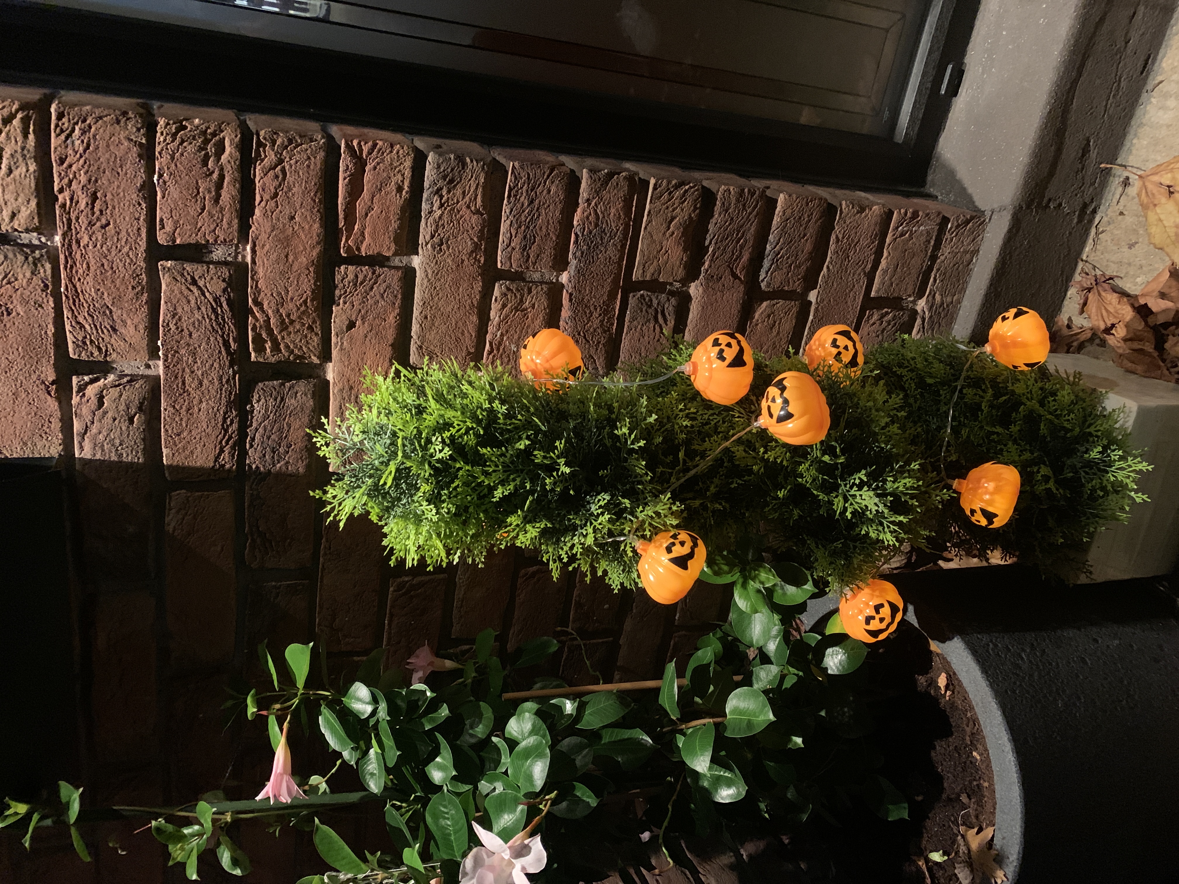 Kundbild från L.M.