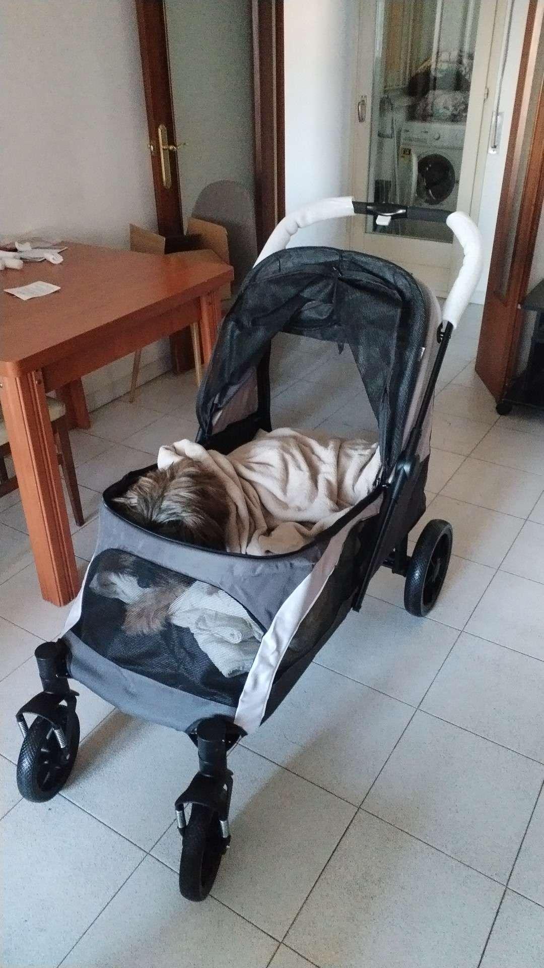 Kundbild från B.C.