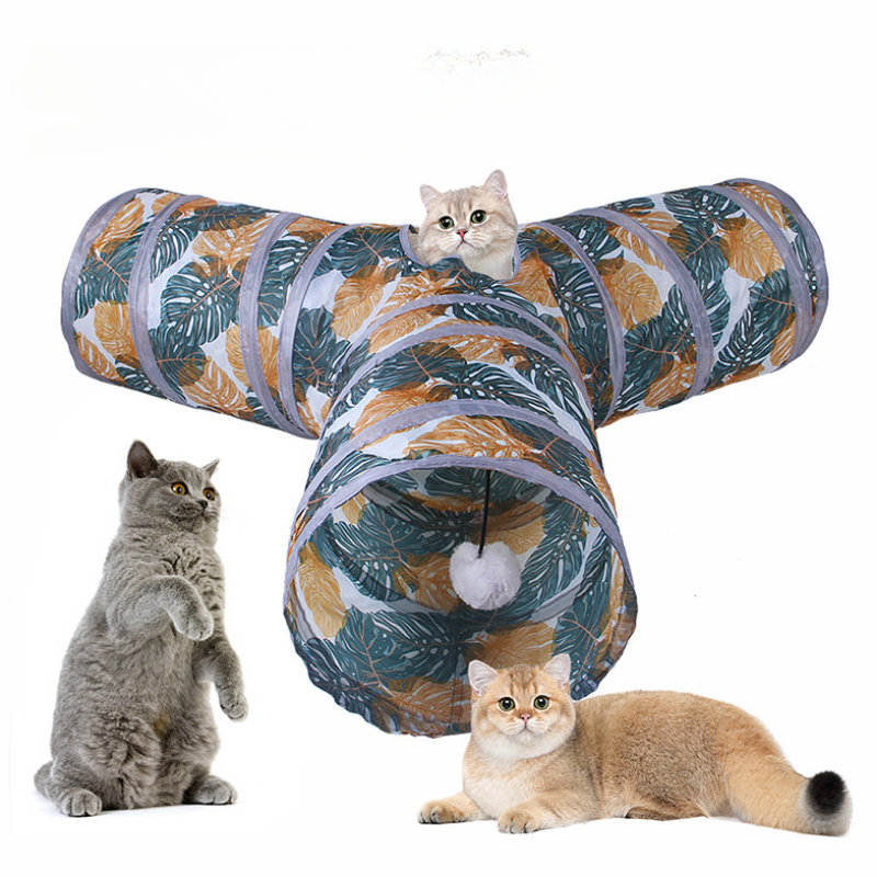 Kattunnel med flera gångar