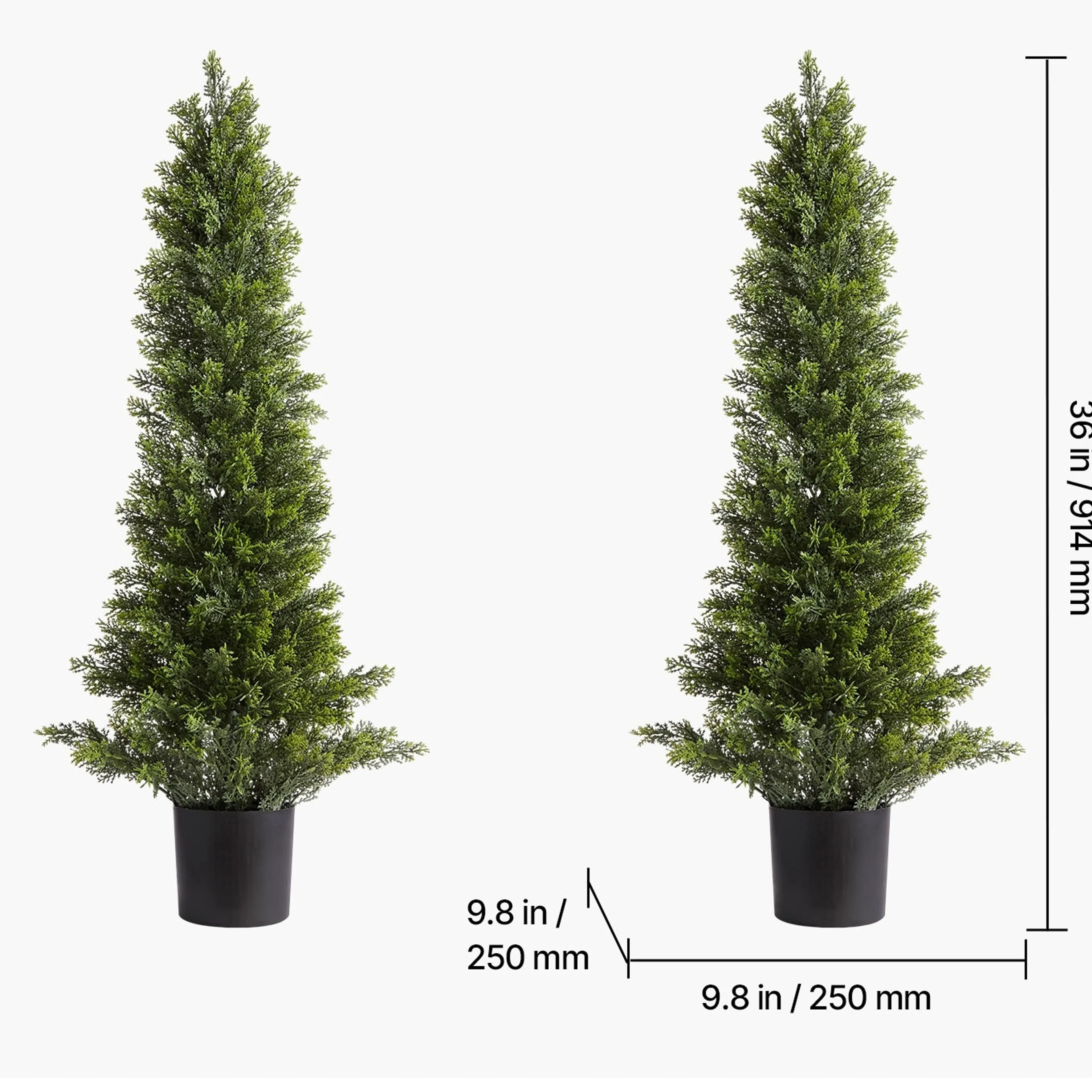 Måttskiss för de konstgjorda cederträden: 914 mm höga med kruka på 250 mm
