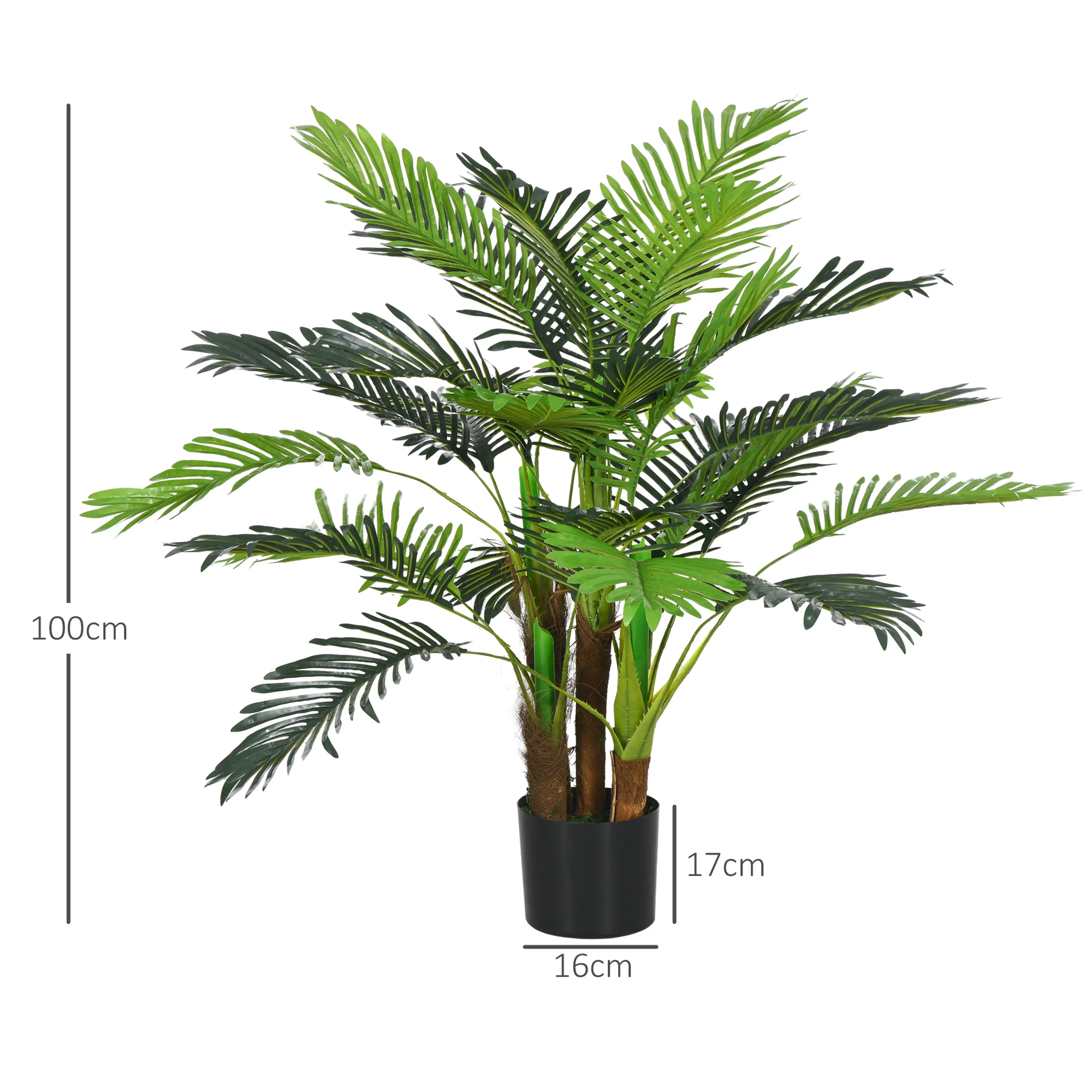 Måttbild: palmen är 100 cm hög och krukan 16 cm bred och 17 cm hög