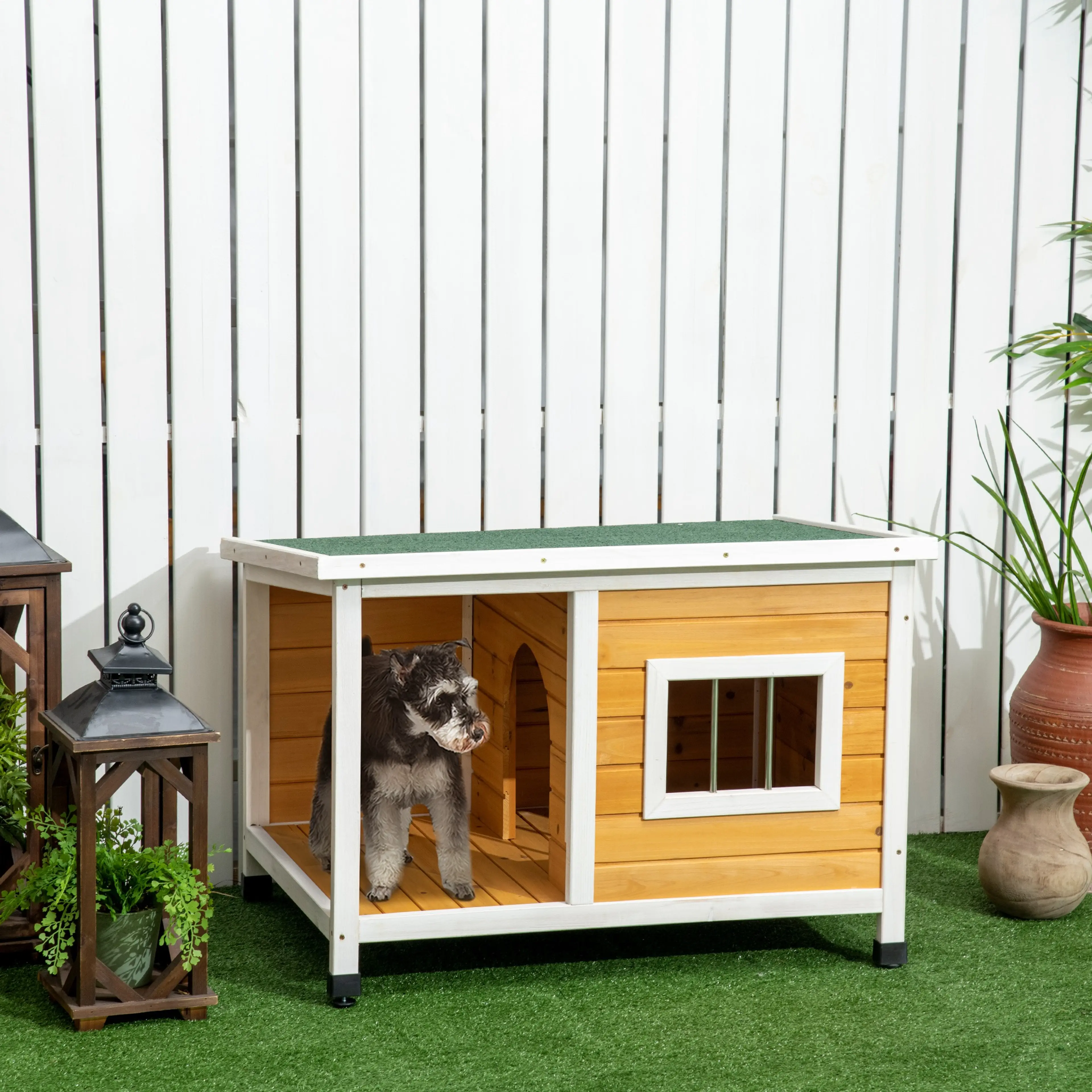 En liten grå hund står på verandan till hundkojan framför ett vitt plank, med lyktor och krukor bredvid