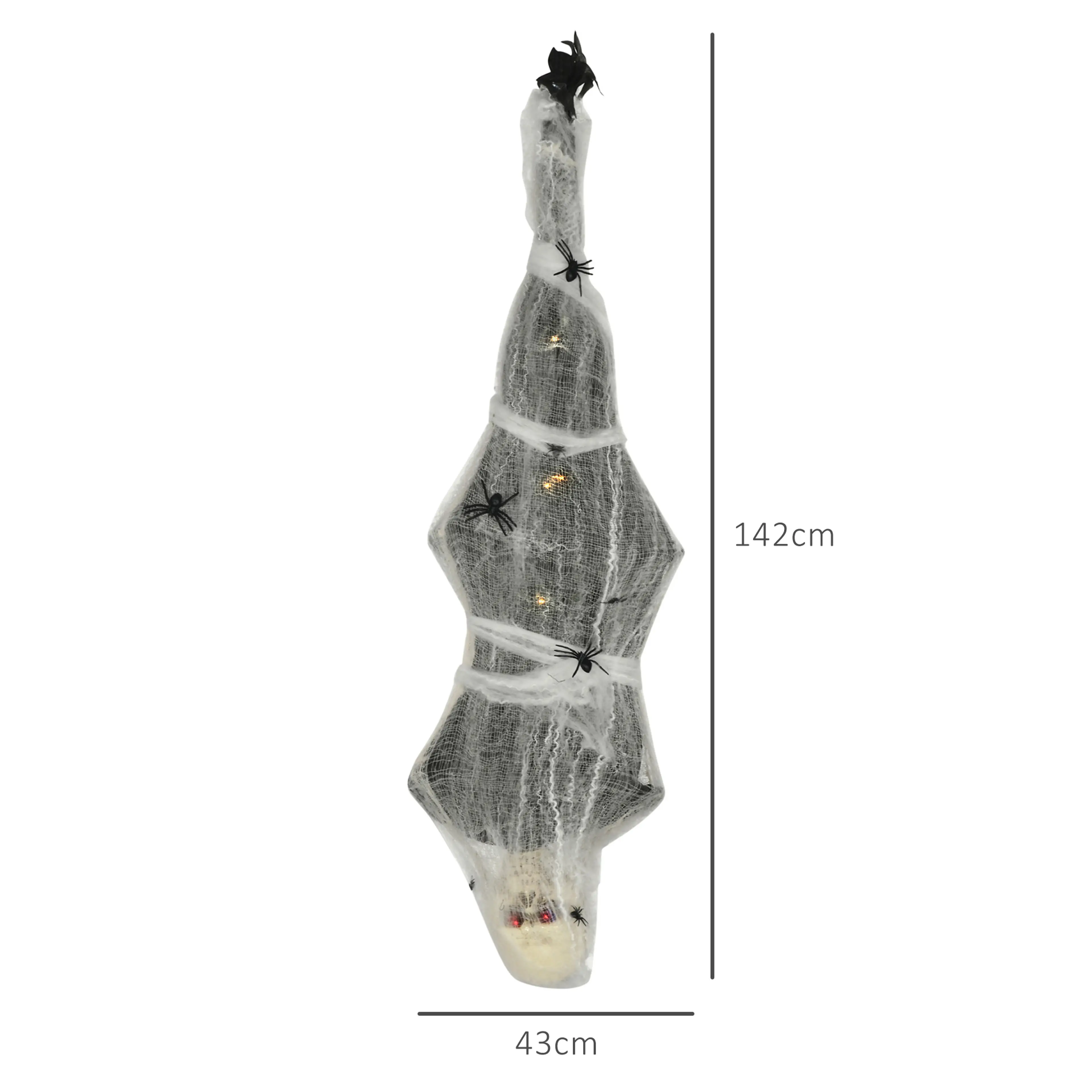 Måttbild: mumien är 142 cm hög och 43 cm bred