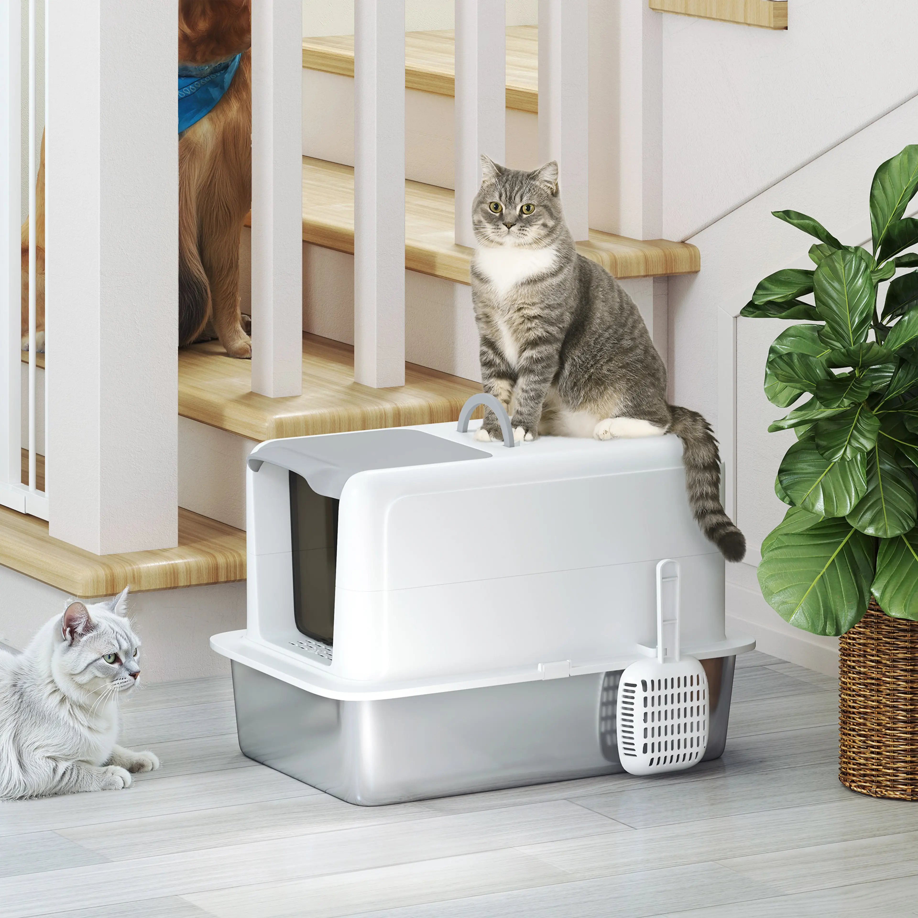 Kattlådan i en hall med en katt sittande ovanpå locket