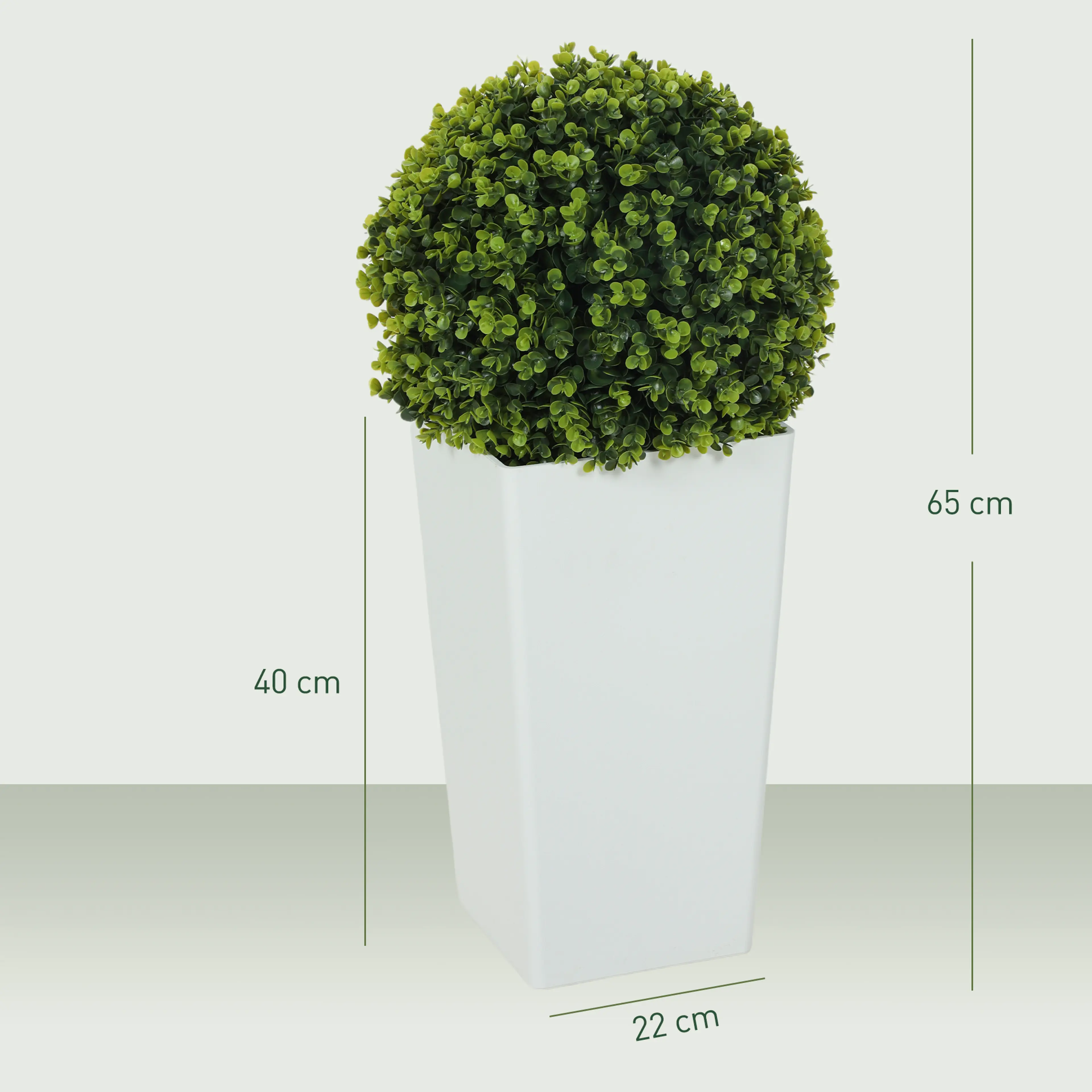 Måttbild: växten är 65 cm hög och krukan 40 cm