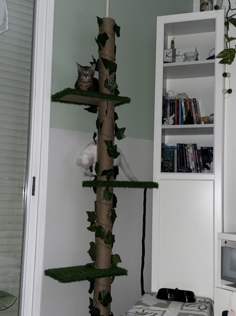Kundbild från Q.R.