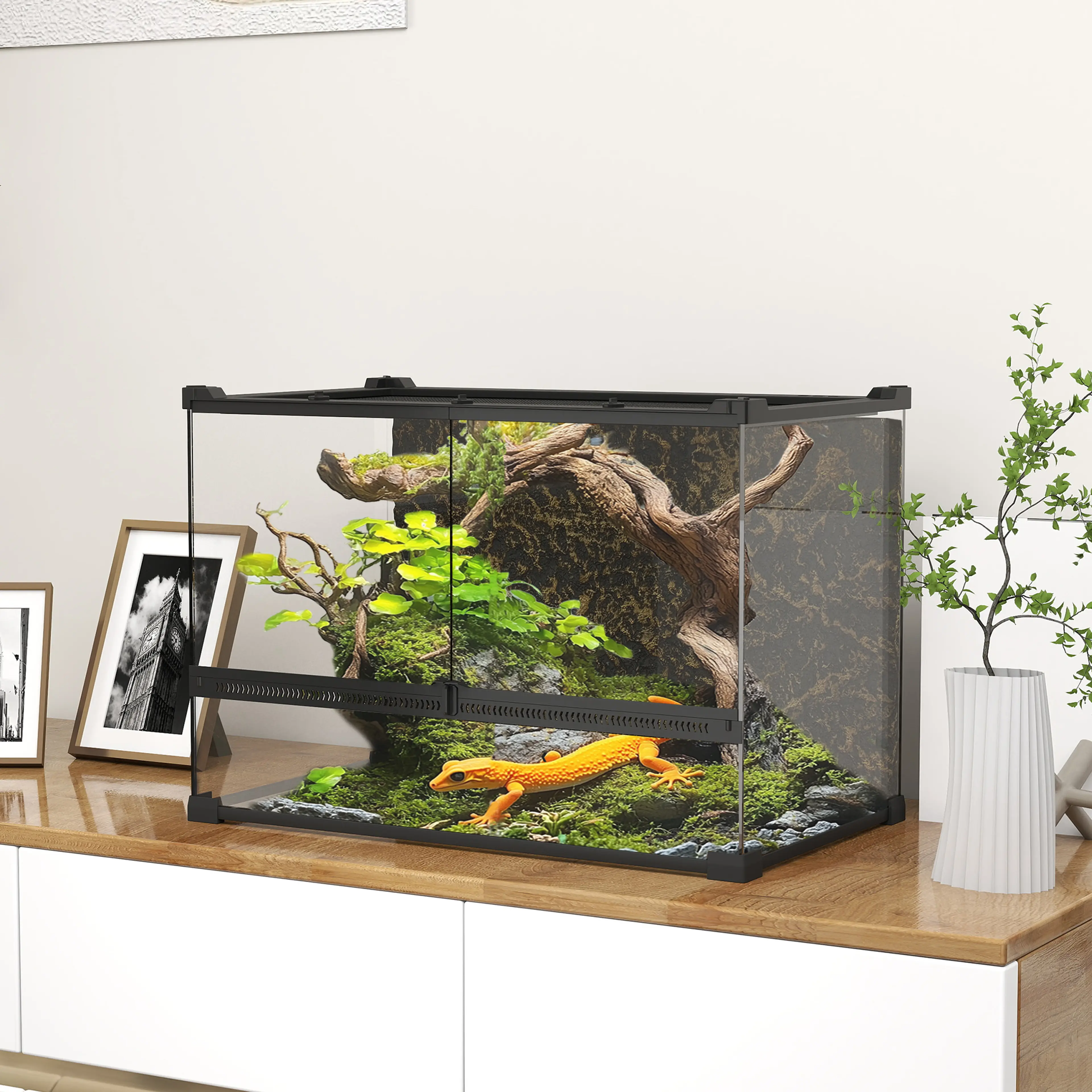 Glasterrarium 50 × 30 × 35 cm med strukturerad bakvägg, 48 liter – bild 2