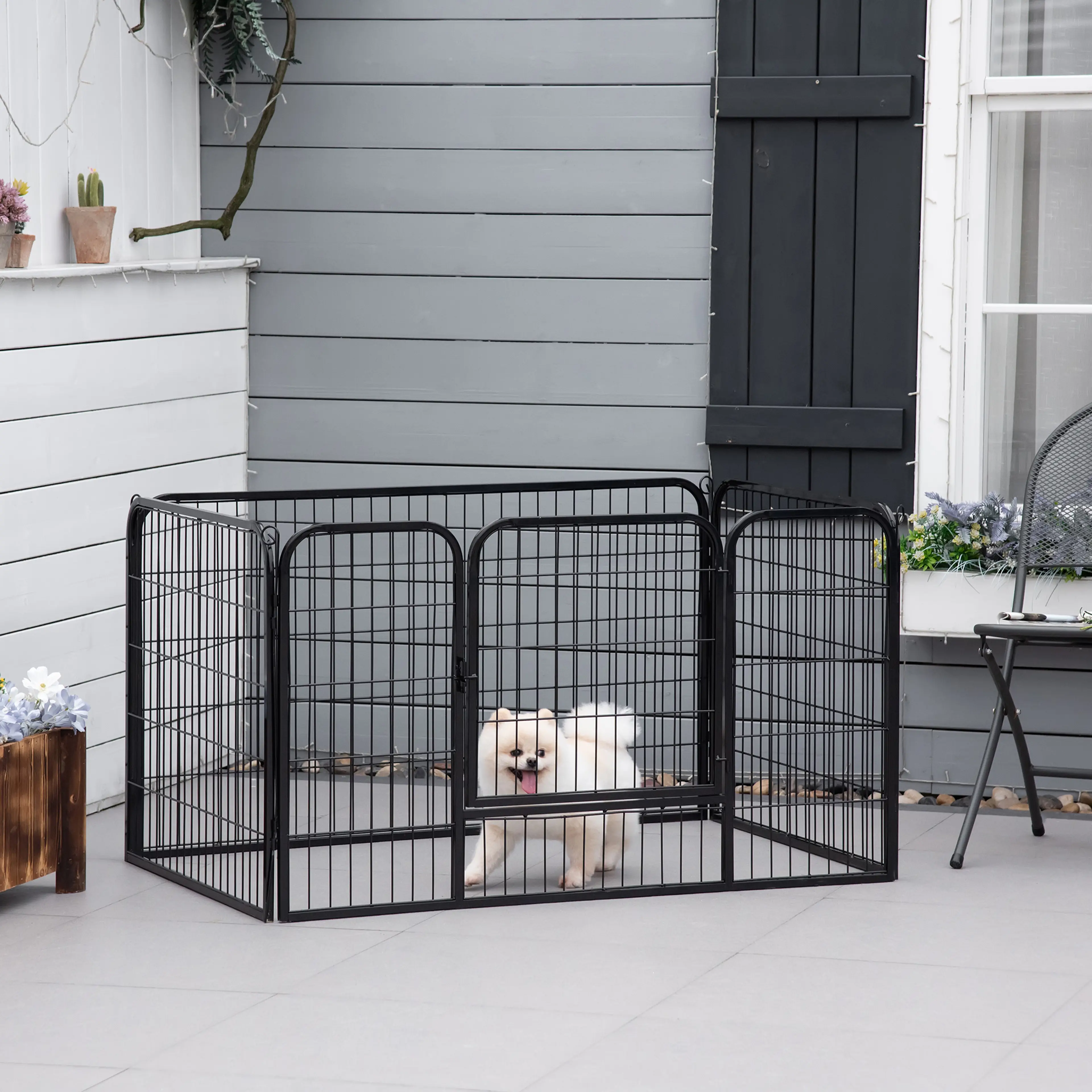 En liten vit hund i valphagen på en uteplats