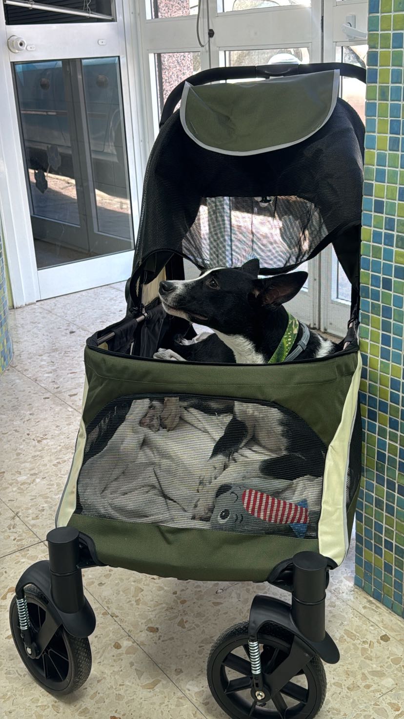 Kundbild från G.H.