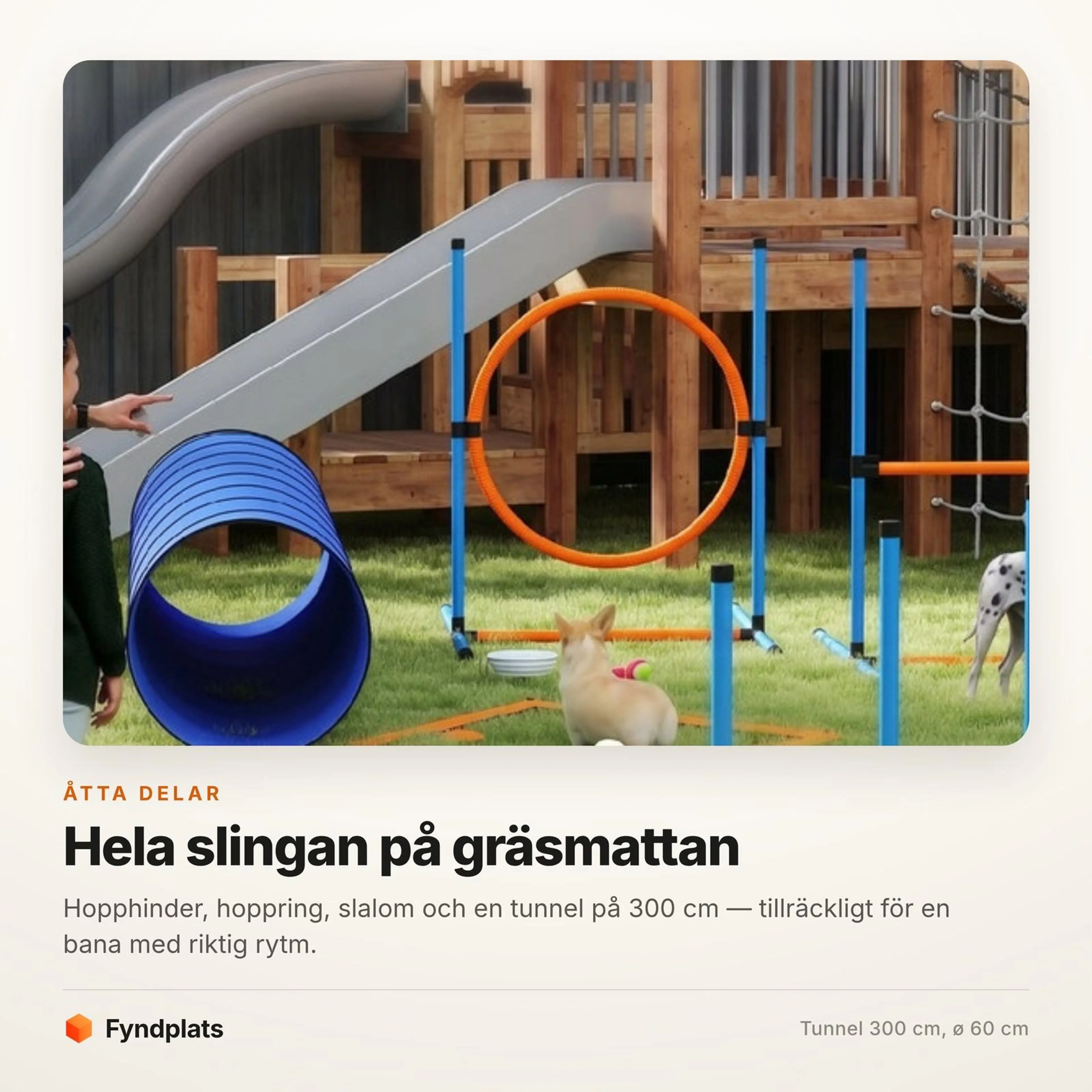 Slingan uppställd på gräsmattan med tunnel, hoppring och slalomstänger och två hundar mellan hindren
