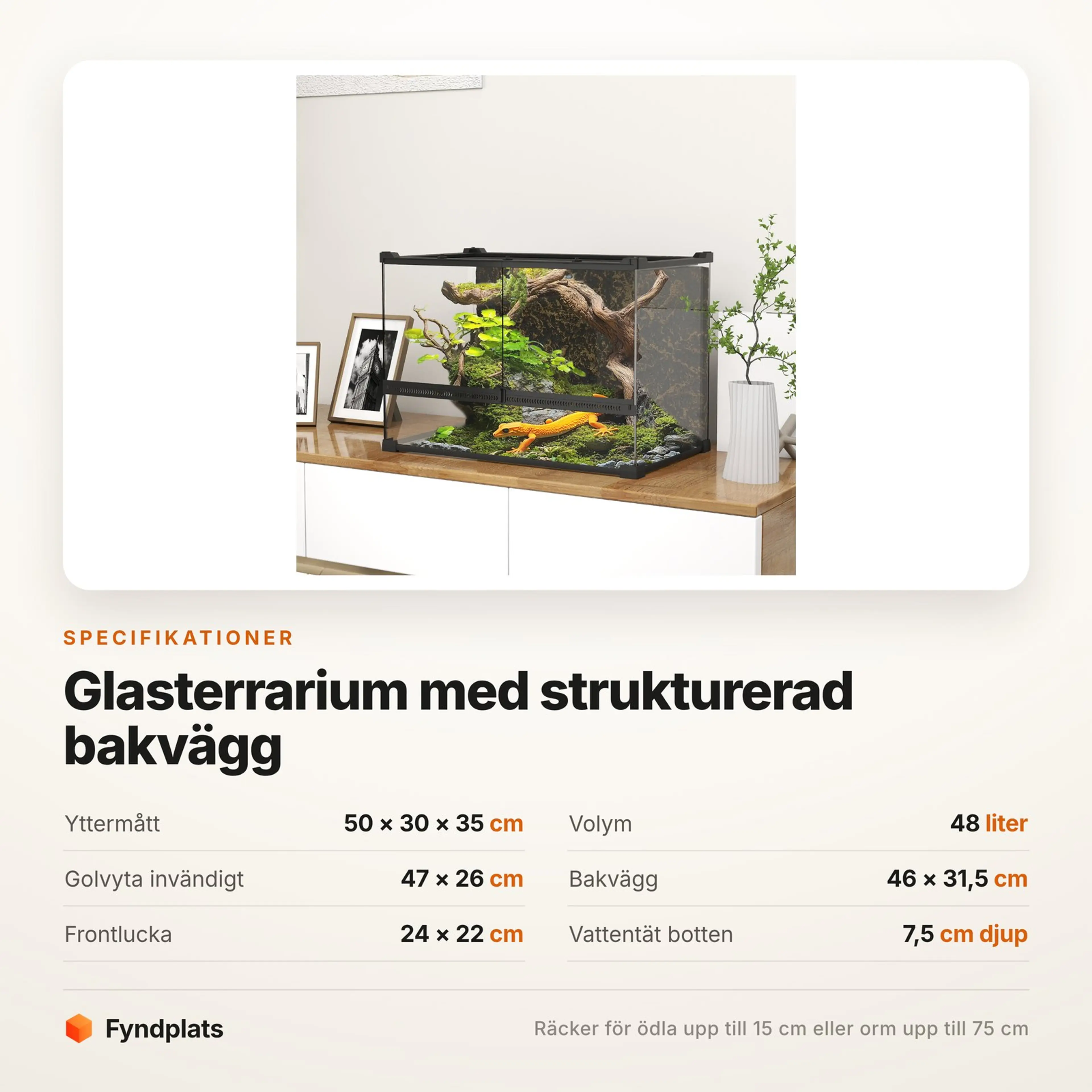 Glasterrarium 50 × 30 × 35 cm med strukturerad bakvägg, 48 liter – bild 4