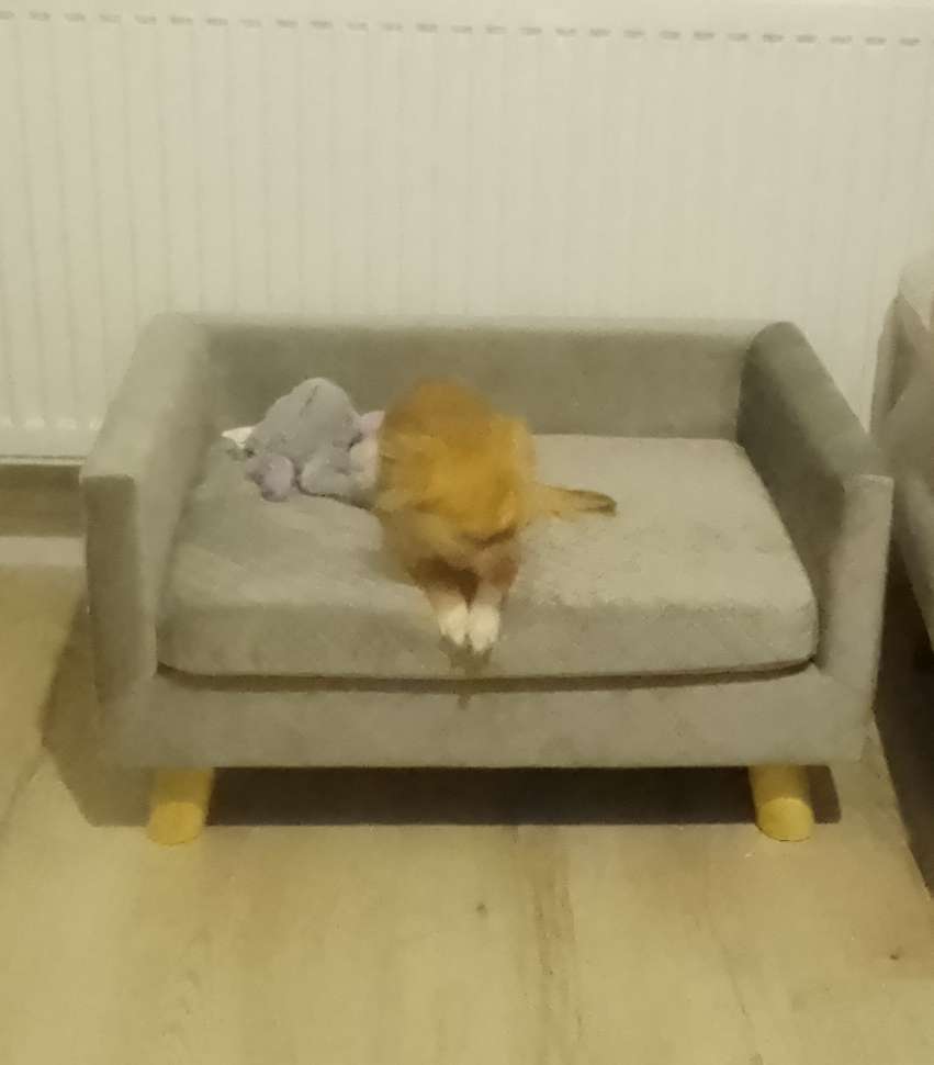 Kundbild från T.U.