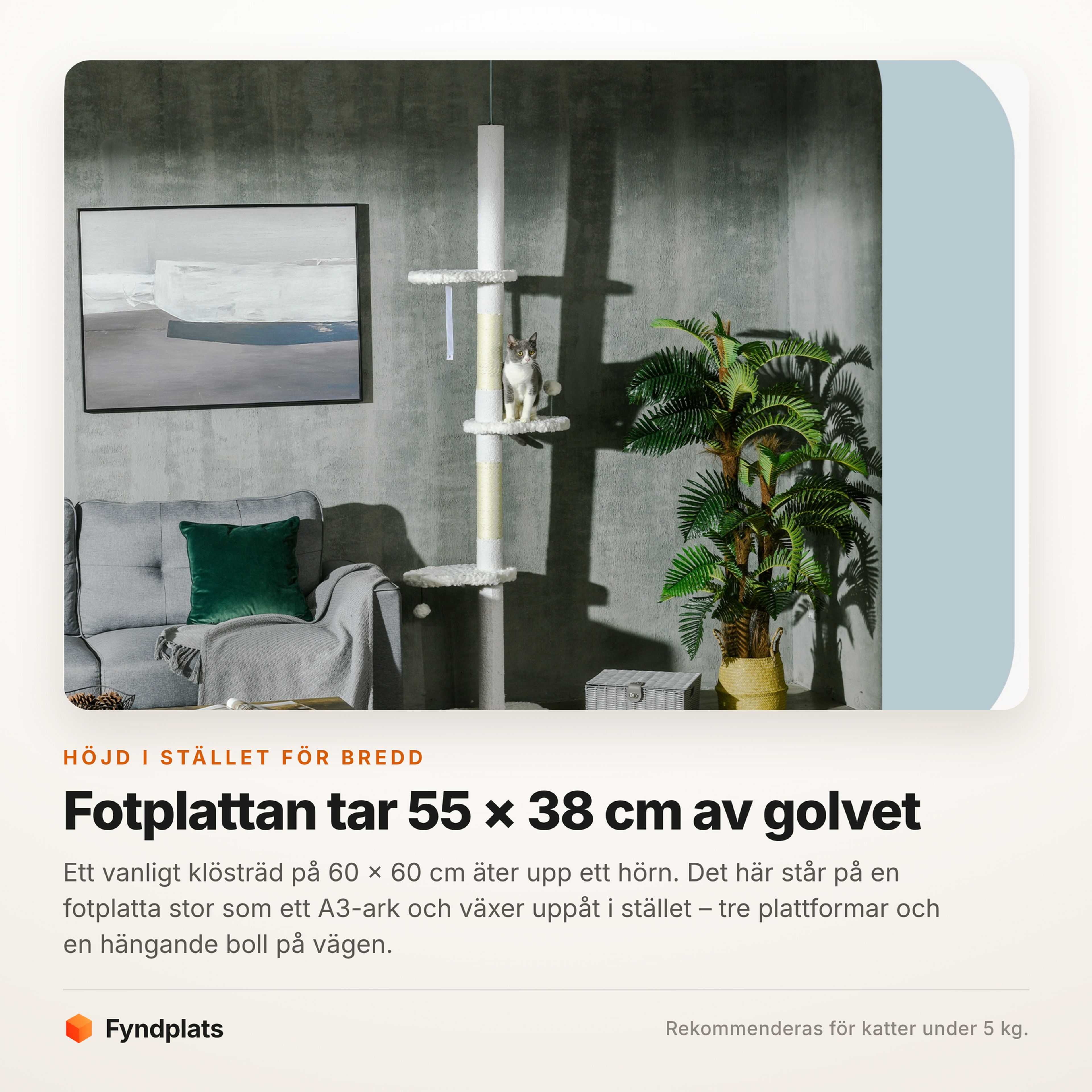 Klösträdet står mot en vägg och tar bara 55 × 38 cm golvyta