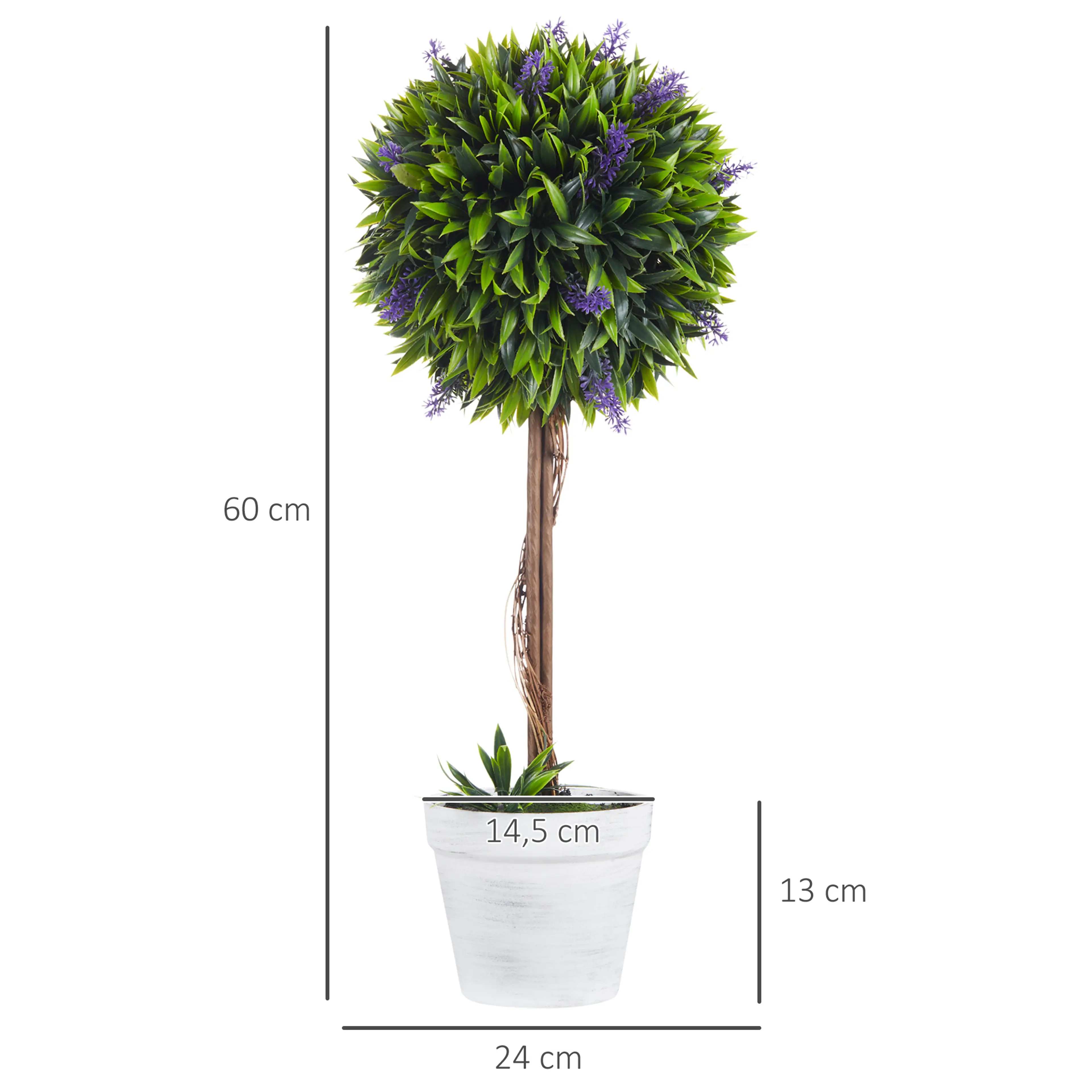 Måttbild: lavendelträdet är 60 cm högt, kronan 24 cm bred och krukan 14,5 cm bred och 13 cm hög