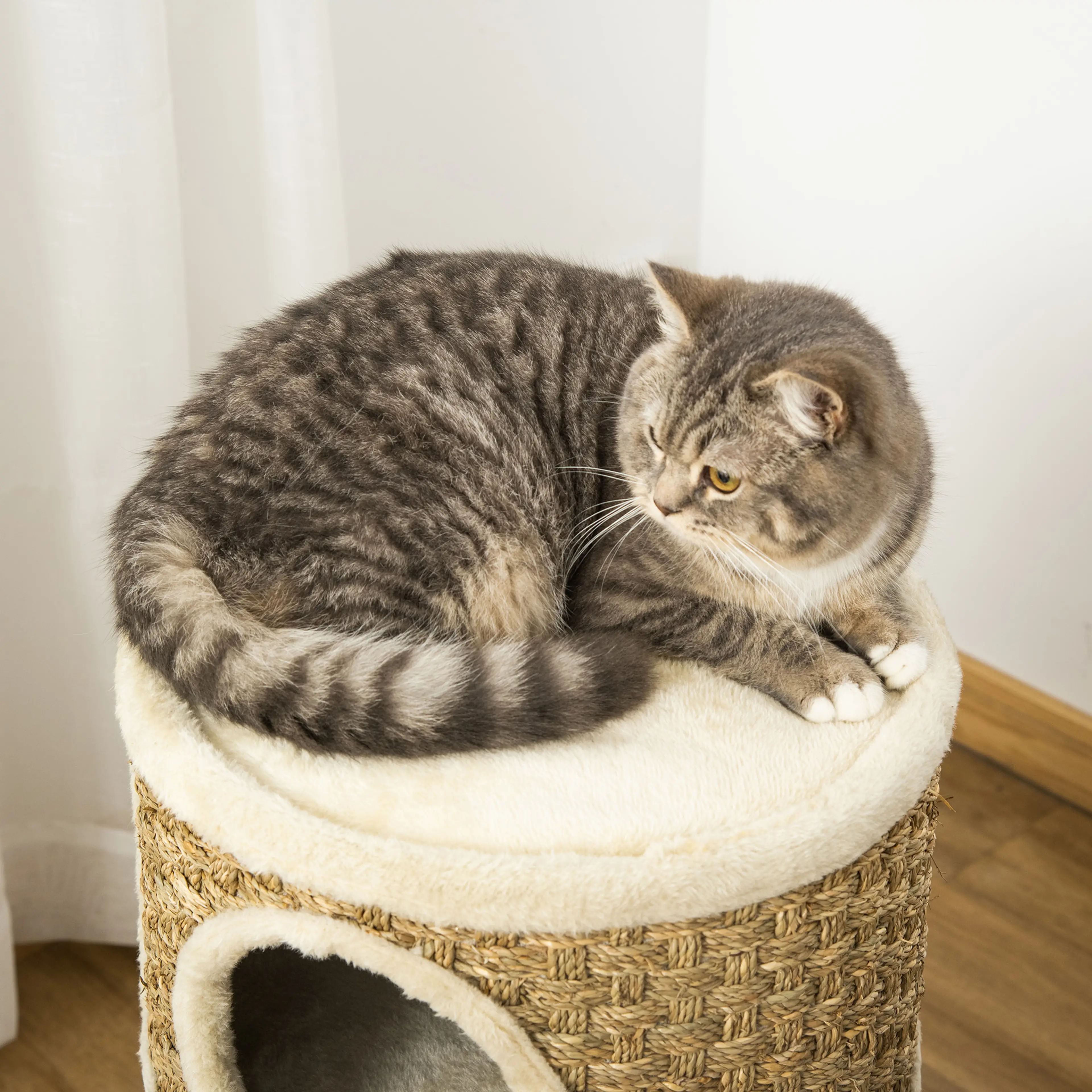 Närbild på katten som ligger i den uppvikta plyschbädden överst på tunnan